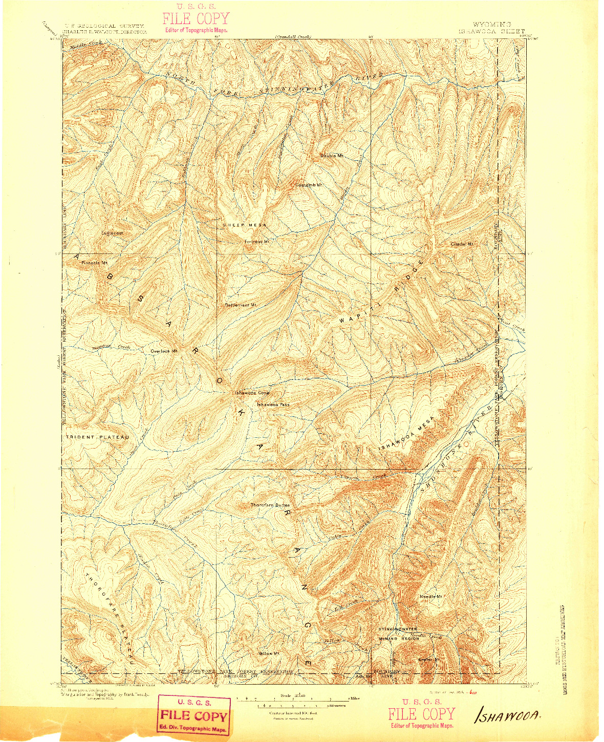 USGS 1:125000-SCALE QUADRANGLE FOR ISHAWOOA, WY 1895