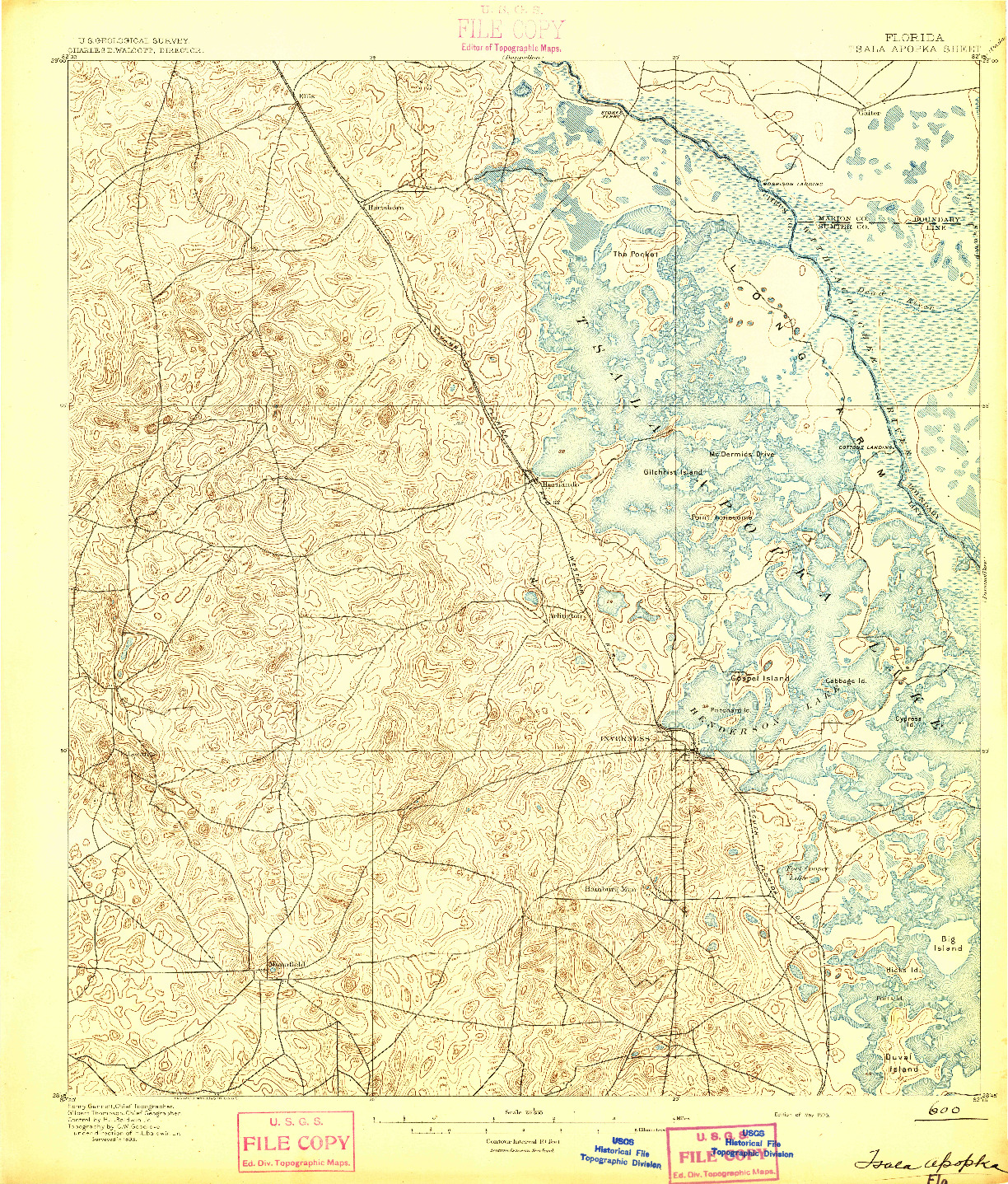 USGS 1:62500-SCALE QUADRANGLE FOR TSALA APOPKA, FL 1895