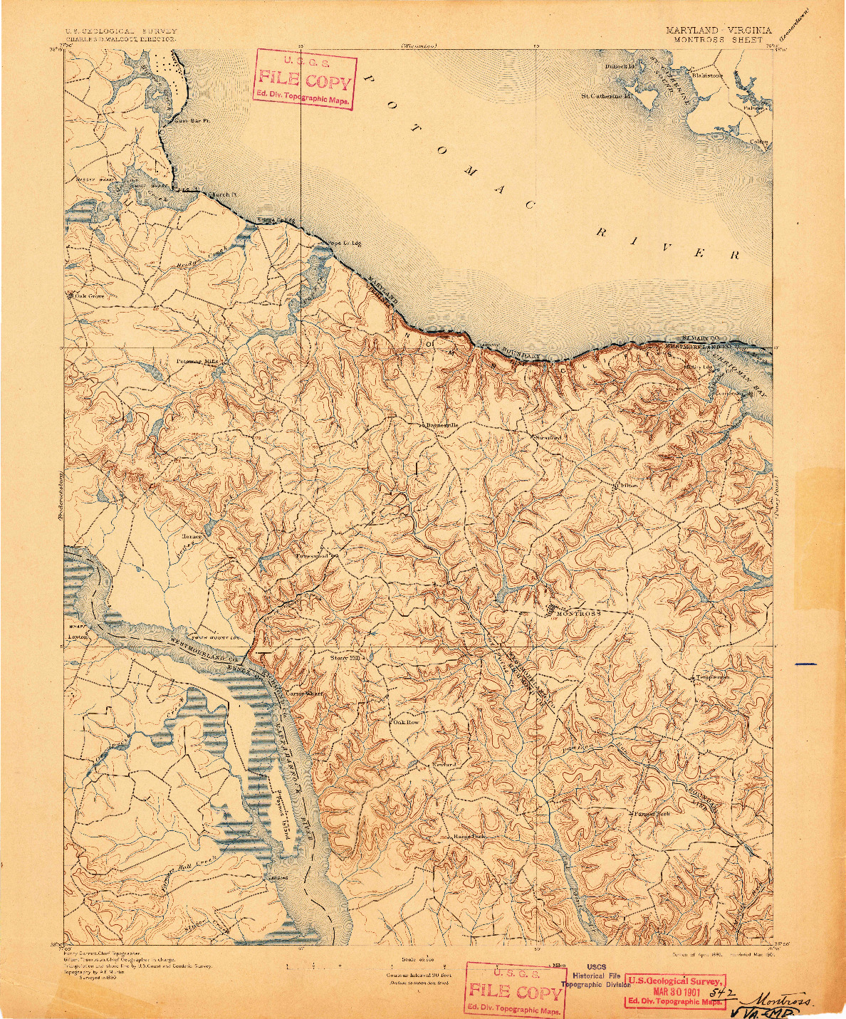 USGS 1:62500-SCALE QUADRANGLE FOR MONTROSS, MD 1895