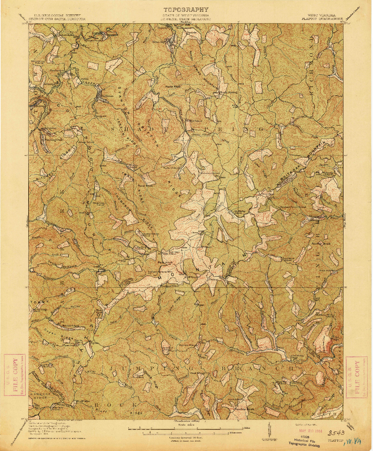 USGS 1:62500-SCALE QUADRANGLE FOR FLATTOP, WV 1914