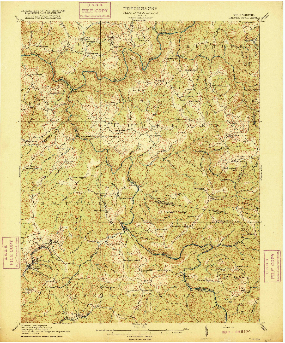 USGS 1:62500-SCALE QUADRANGLE FOR WINONA, WV 1916