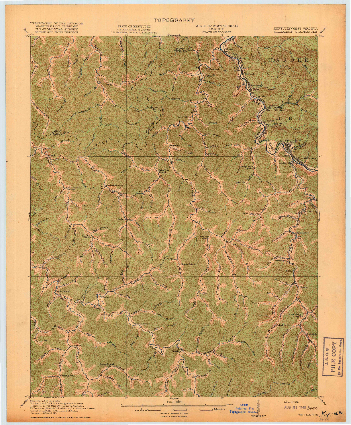 USGS 1:62500-SCALE QUADRANGLE FOR WILLIAMSON, KY 1918