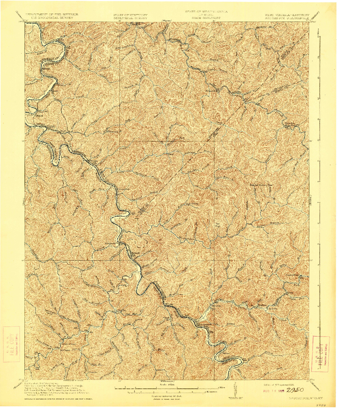 USGS 1:62500-SCALE QUADRANGLE FOR NAUGATUCK, WV 1917