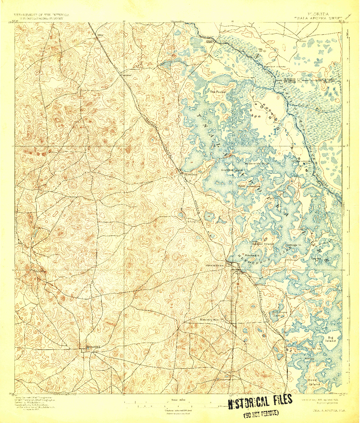 USGS 1:62500-SCALE QUADRANGLE FOR TSALA APOPKA, FL 1895