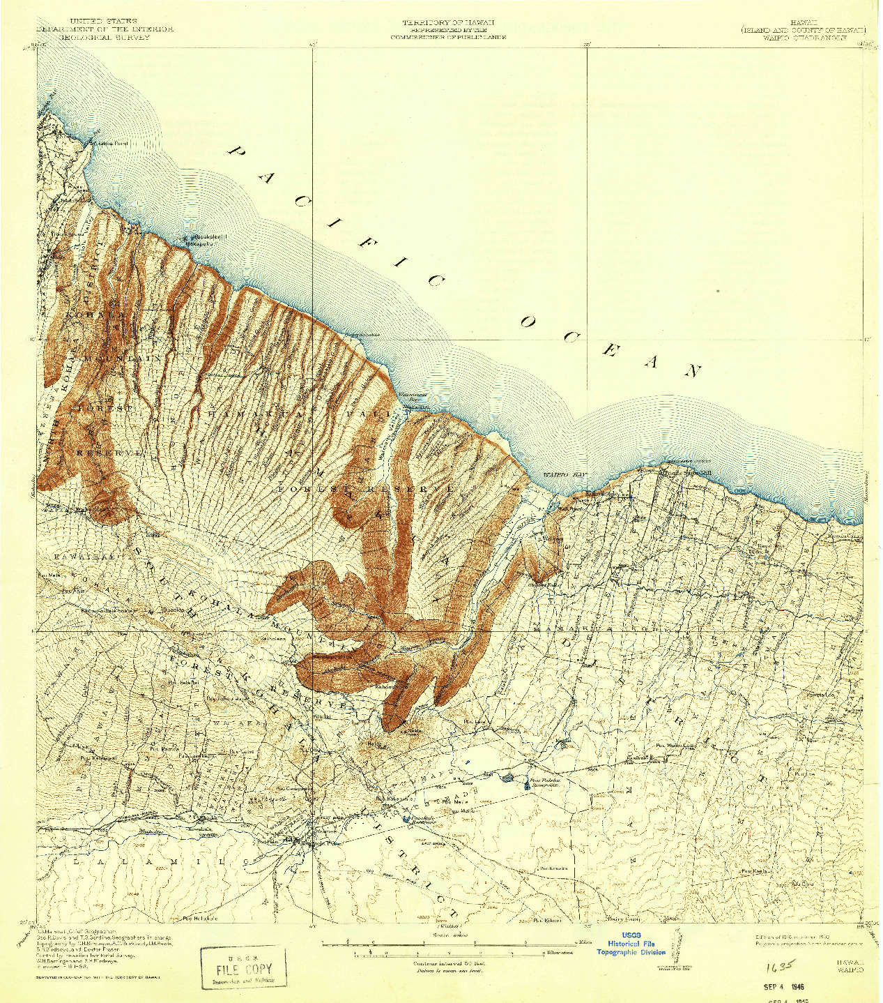 USGS 1:62500-SCALE QUADRANGLE FOR WAIPIO, HI 1916