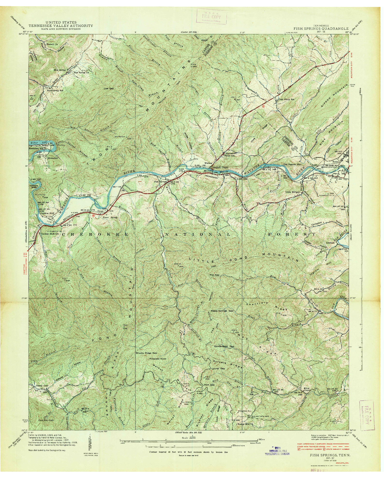 USGS 1:24000-SCALE QUADRANGLE FOR FISH SPRINGS, TN 1938