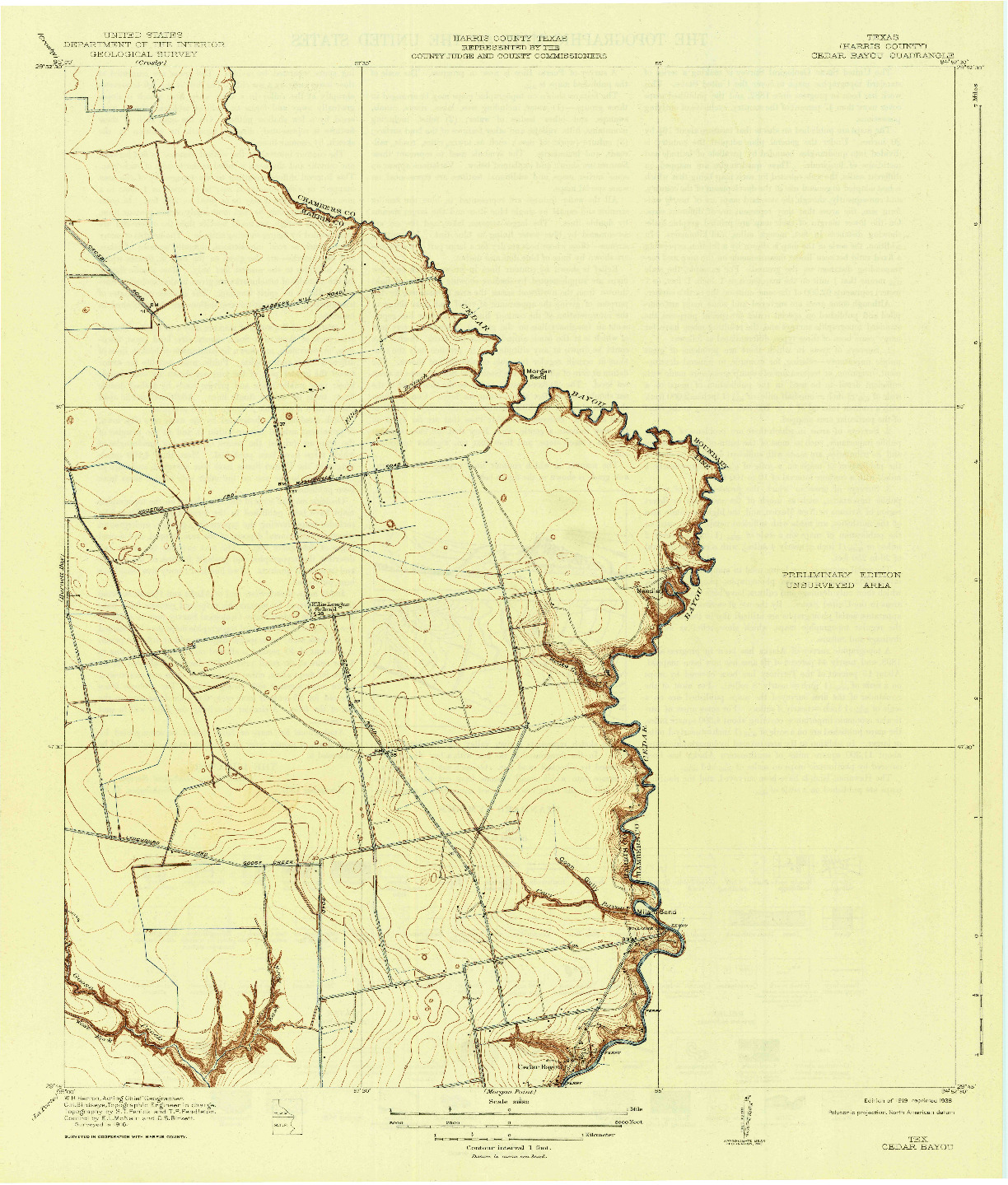 USGS 1:31680-SCALE QUADRANGLE FOR CEDAR BAYOU, TX 1919