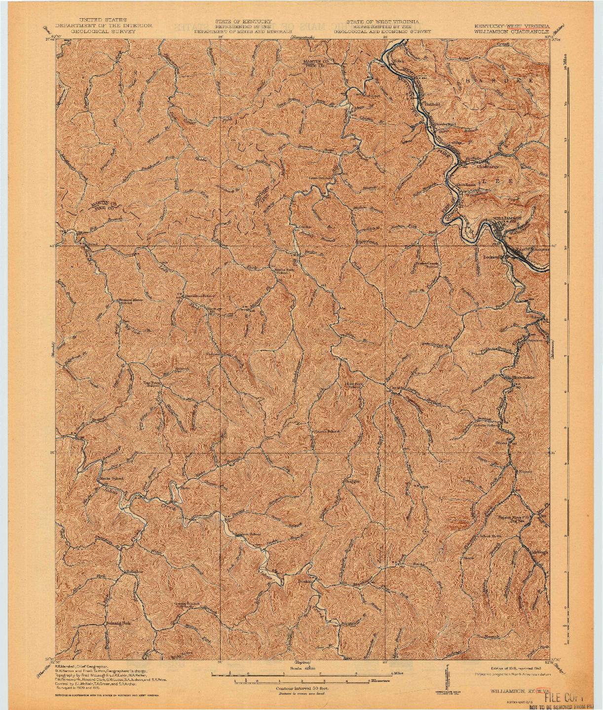 USGS 1:62500-SCALE QUADRANGLE FOR WILLIAMSON, KY 1918