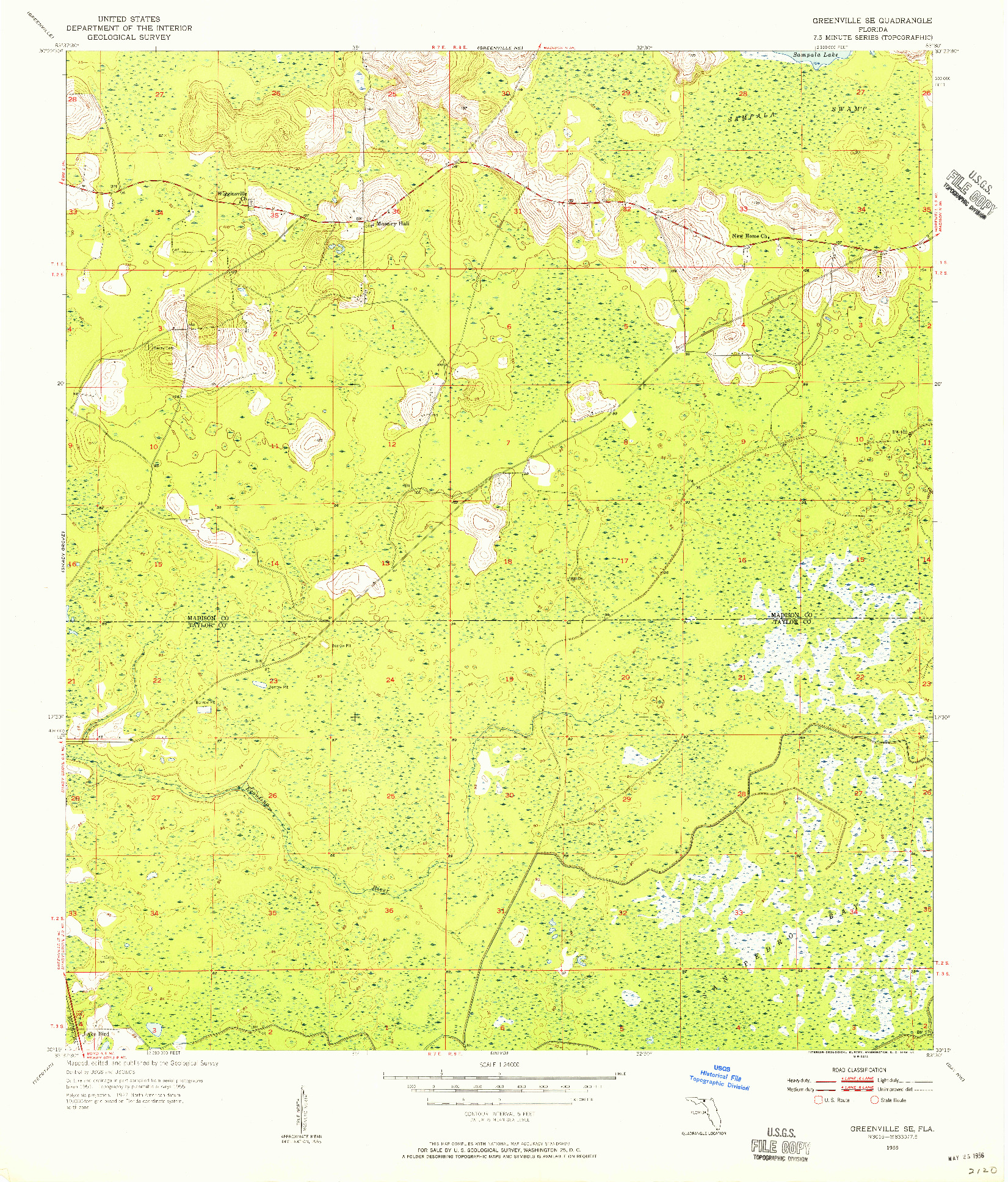 USGS 1:24000-SCALE QUADRANGLE FOR GREENVILLE SE, FL 1955