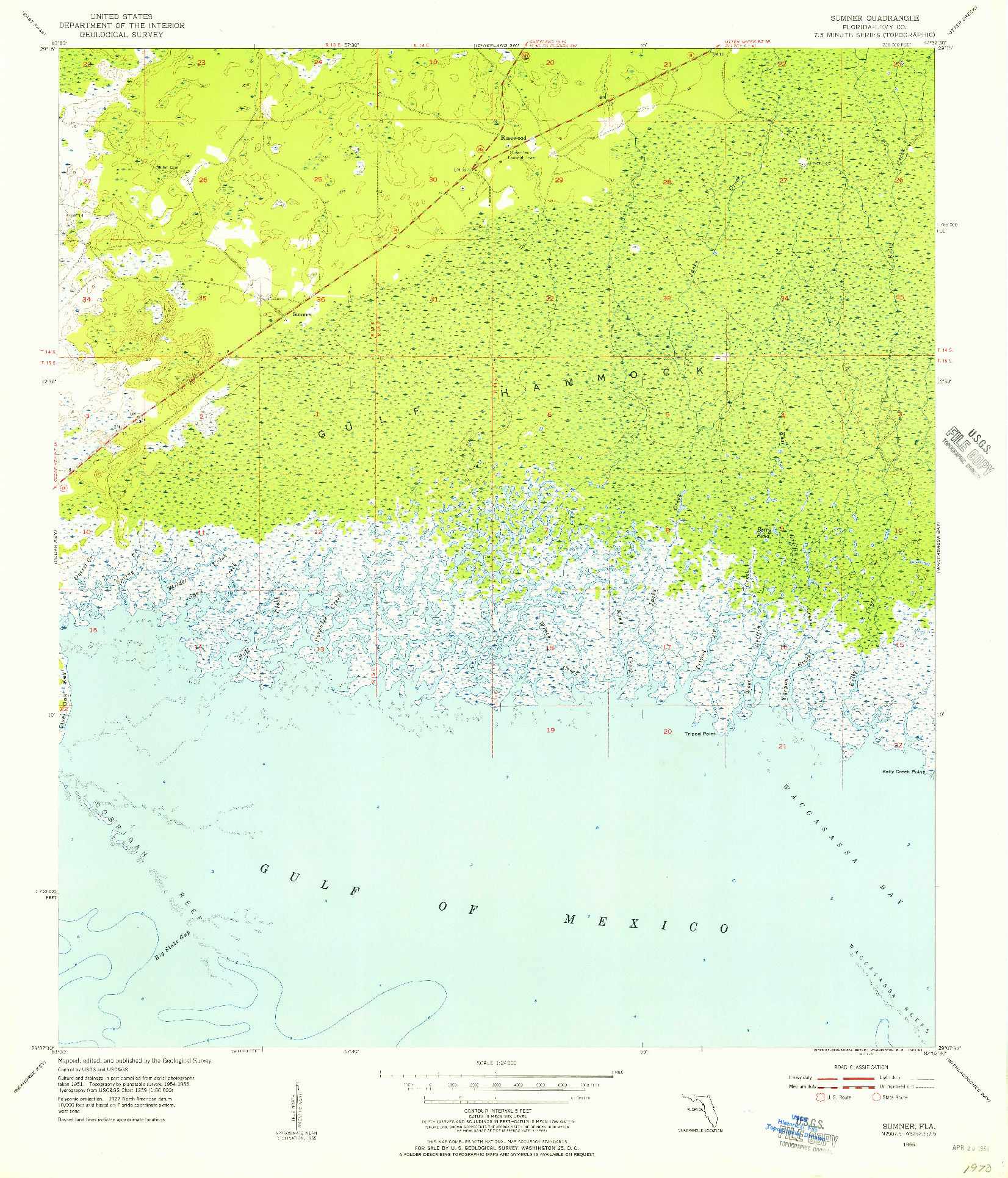 USGS 1:24000-SCALE QUADRANGLE FOR SUMNER, FL 1955