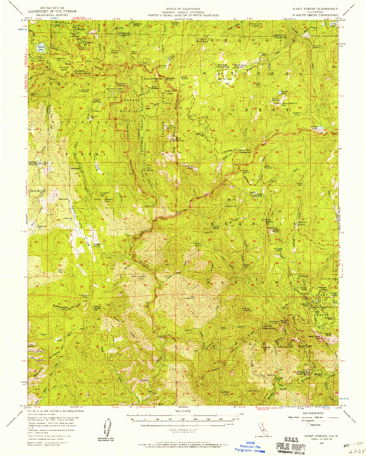 USGS 1:62500-SCALE QUADRANGLE FOR GIANT FOREST, CA 1956