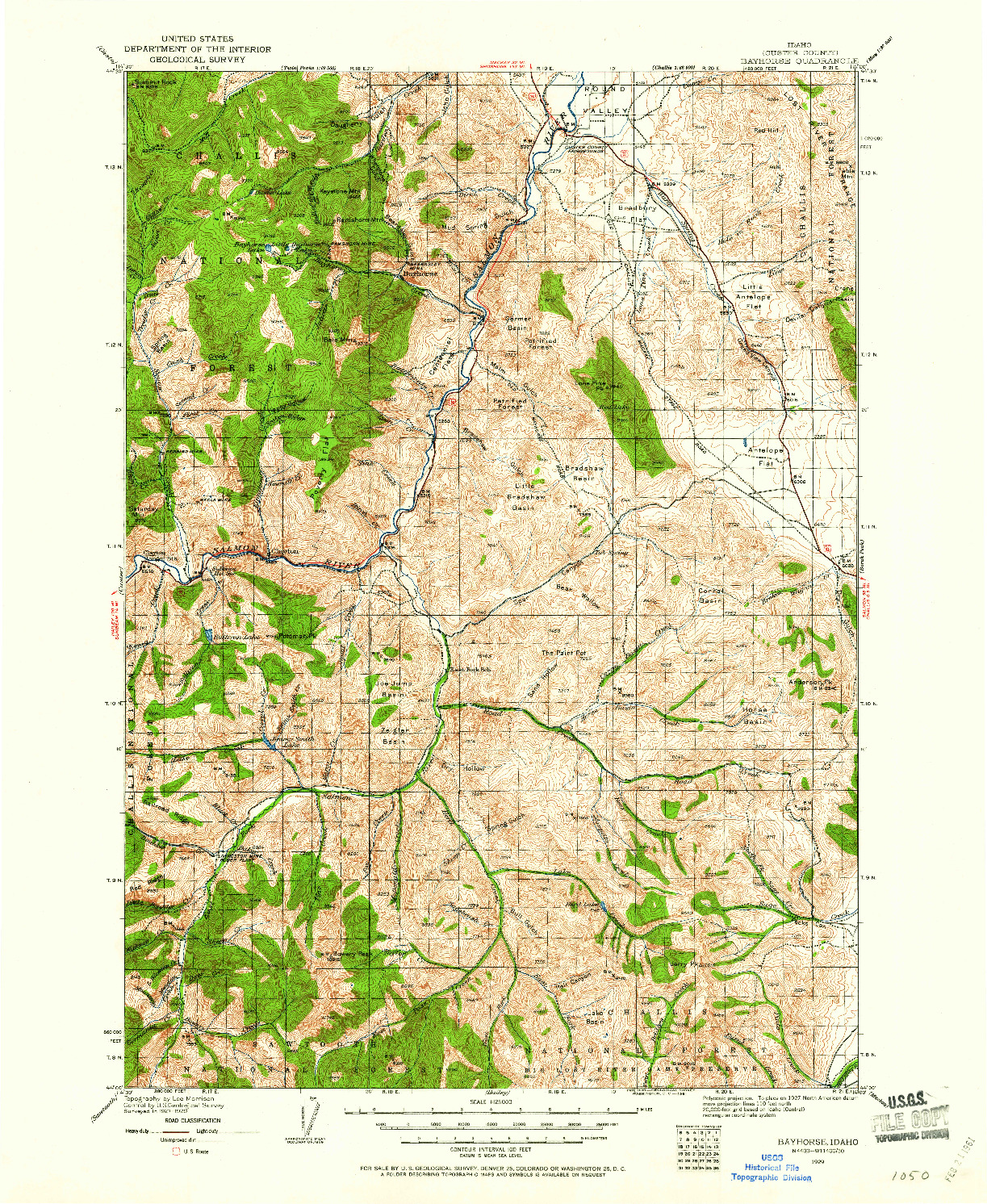 USGS 1:125000-SCALE QUADRANGLE FOR BAYHORSE, ID 1929