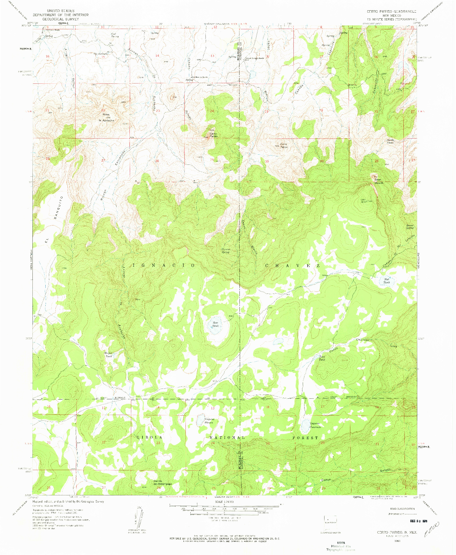 USGS 1:24000-SCALE QUADRANGLE FOR CERRO PARIDO, NM 1961