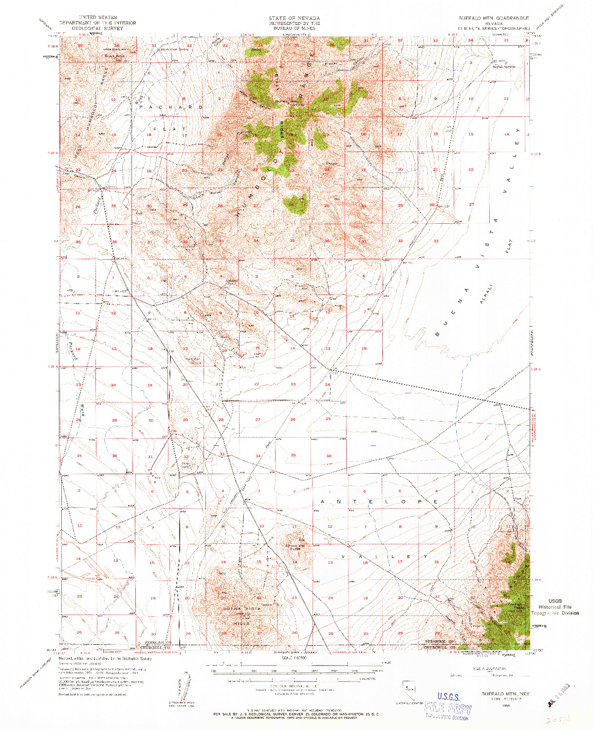 USGS 1:62500-SCALE QUADRANGLE FOR BUFFALO MTN, NV 1954