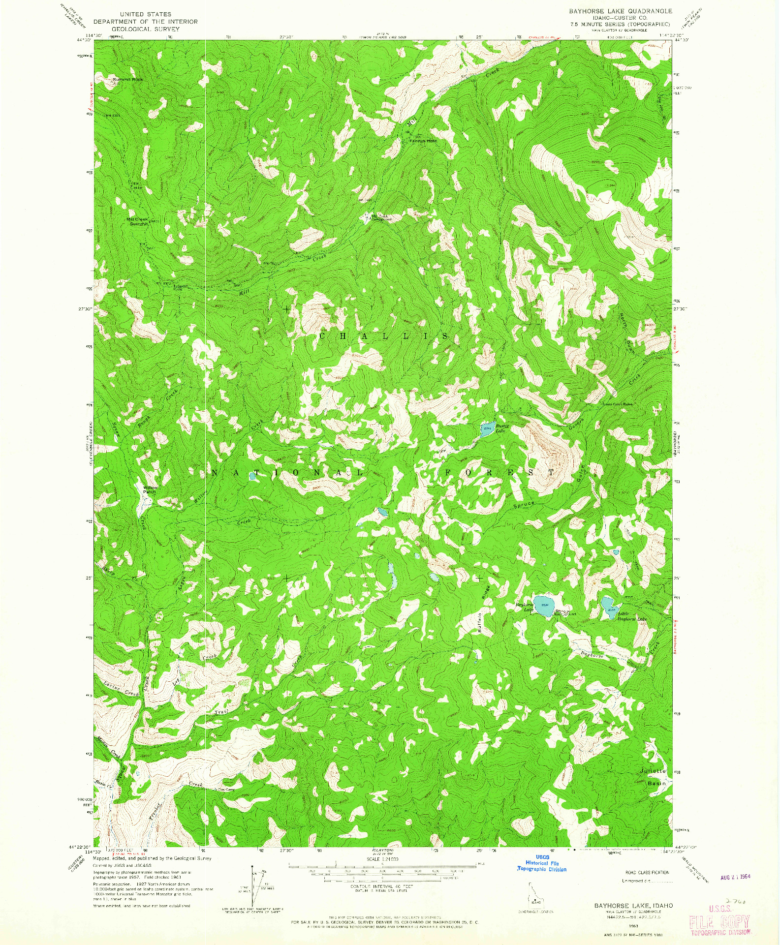 USGS 1:24000-SCALE QUADRANGLE FOR BAYHORSE LAKE, ID 1963