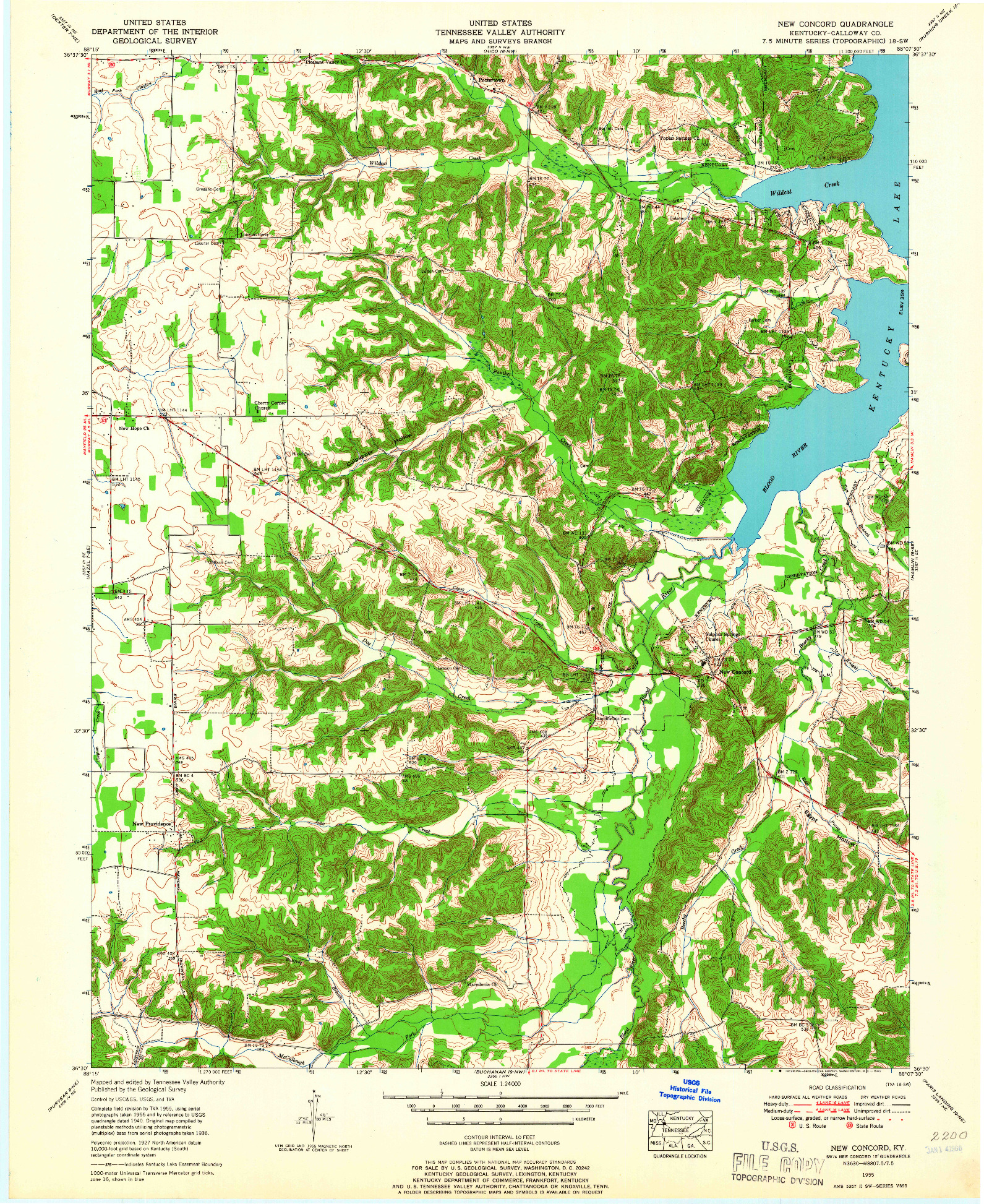 USGS 1:24000-SCALE QUADRANGLE FOR NEW CONCORD, KY 1955