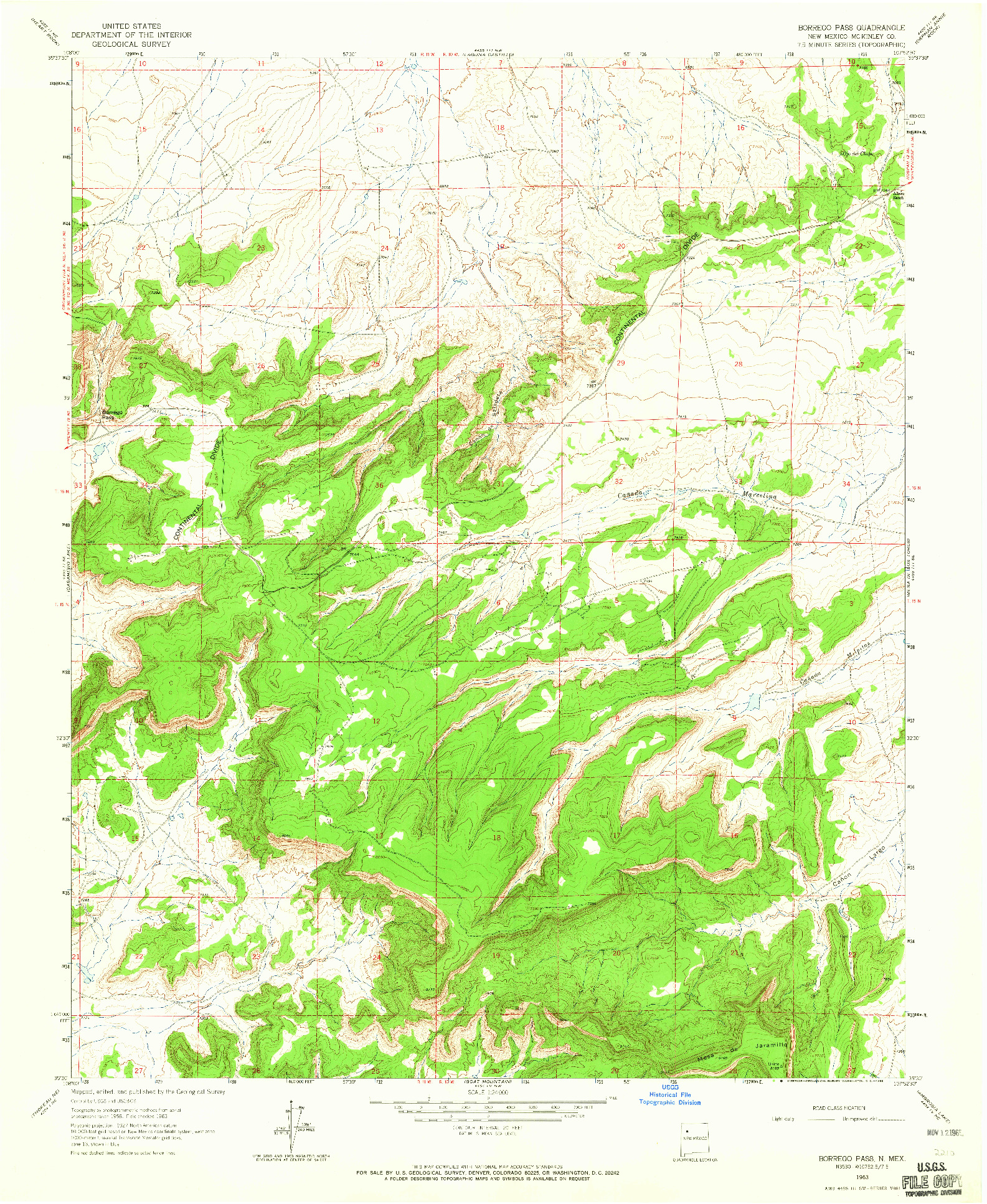 USGS 1:24000-SCALE QUADRANGLE FOR BORREGO PASS, NM 1963