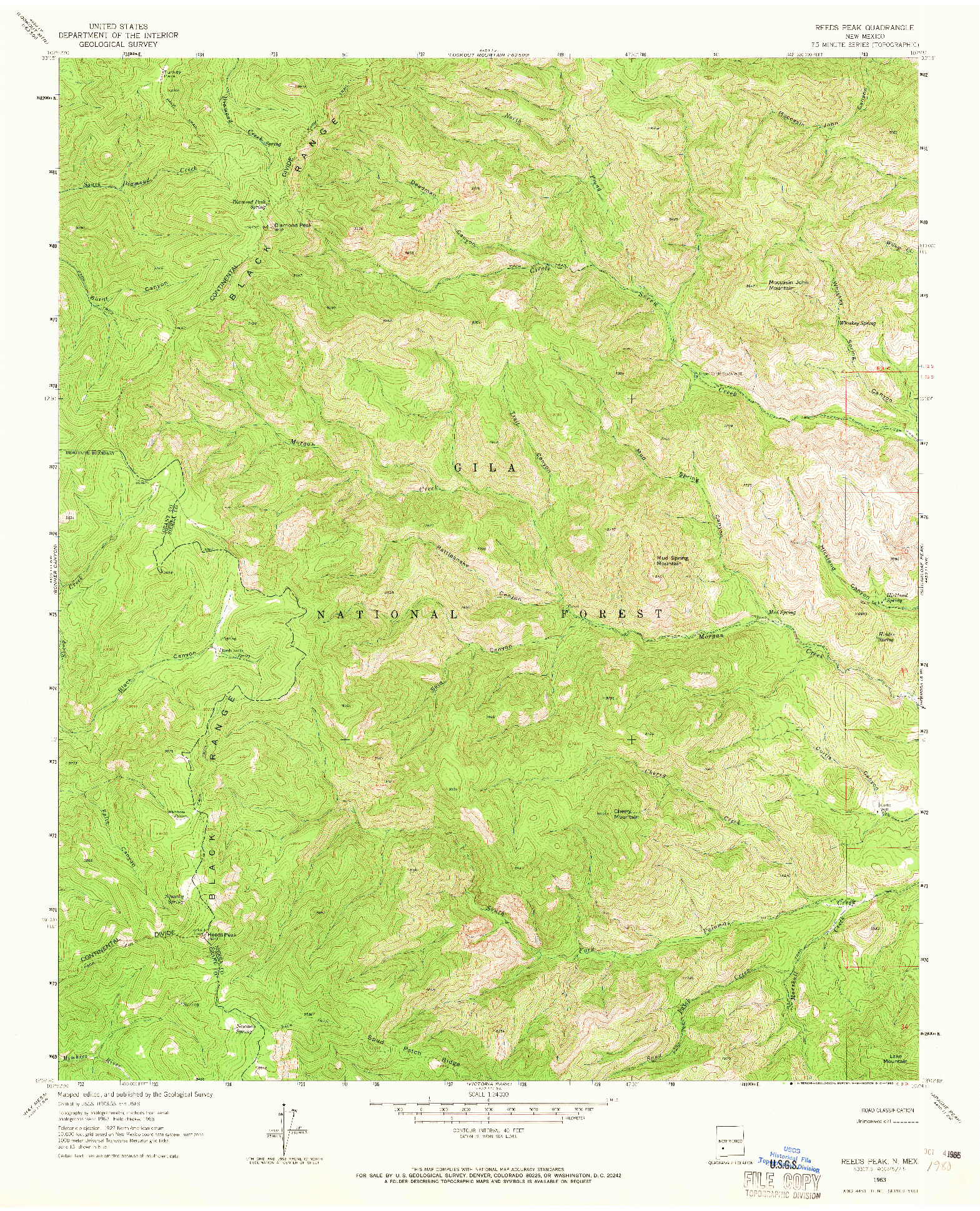 USGS 1:24000-SCALE QUADRANGLE FOR REEDS PEAK, NM 1963