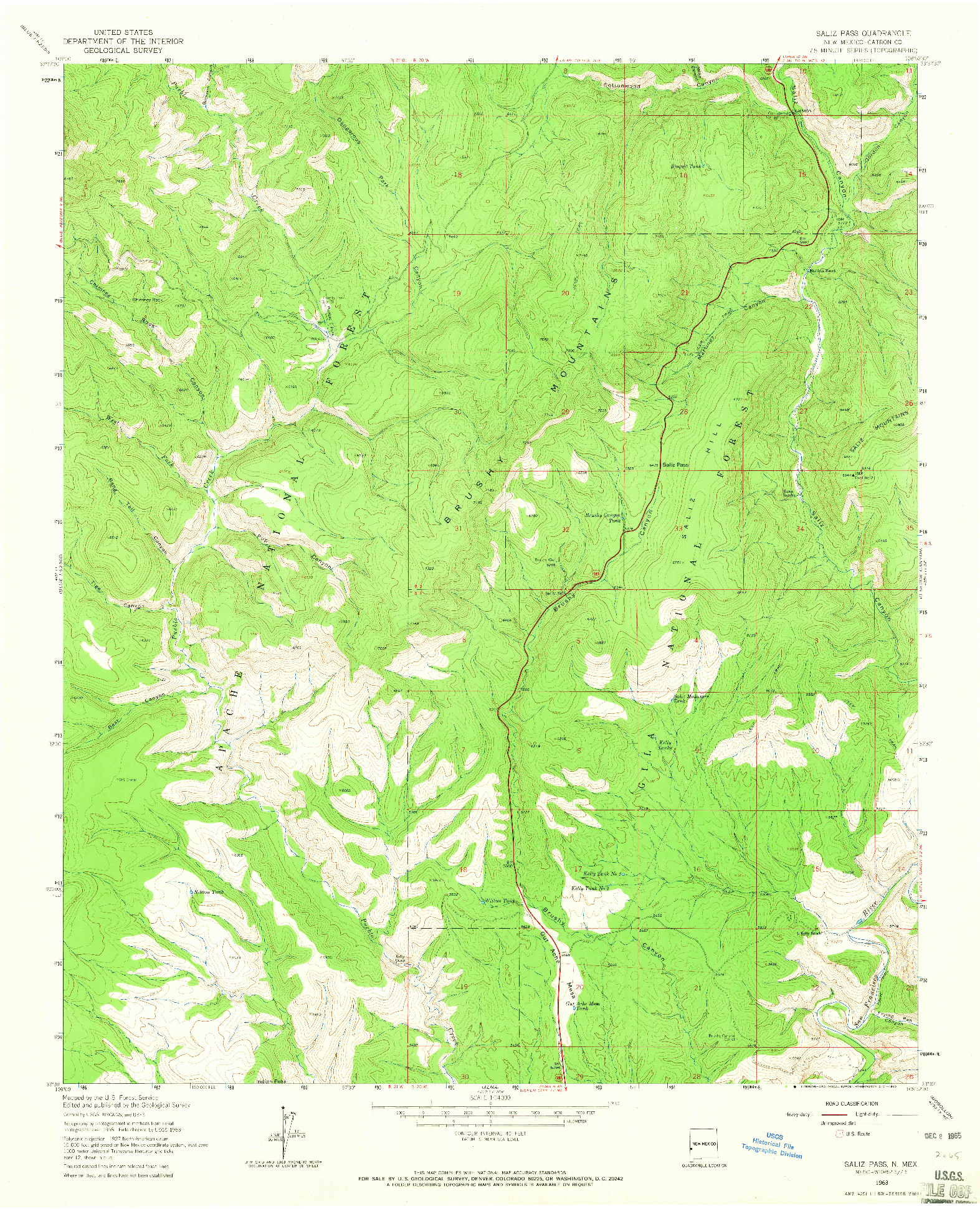 USGS 1:24000-SCALE QUADRANGLE FOR SALIZ PASS, NM 1963