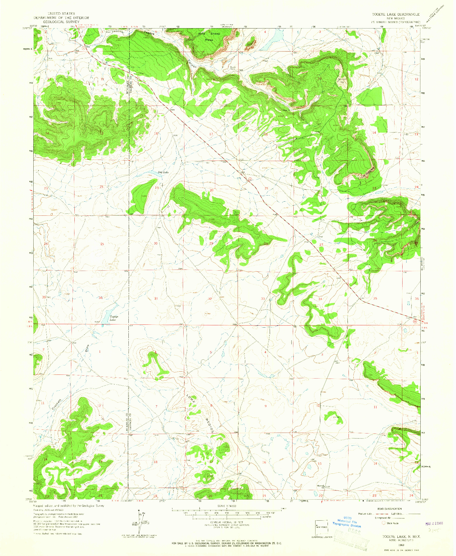 USGS 1:24000-SCALE QUADRANGLE FOR TOGEYE LAKE, NM 1963