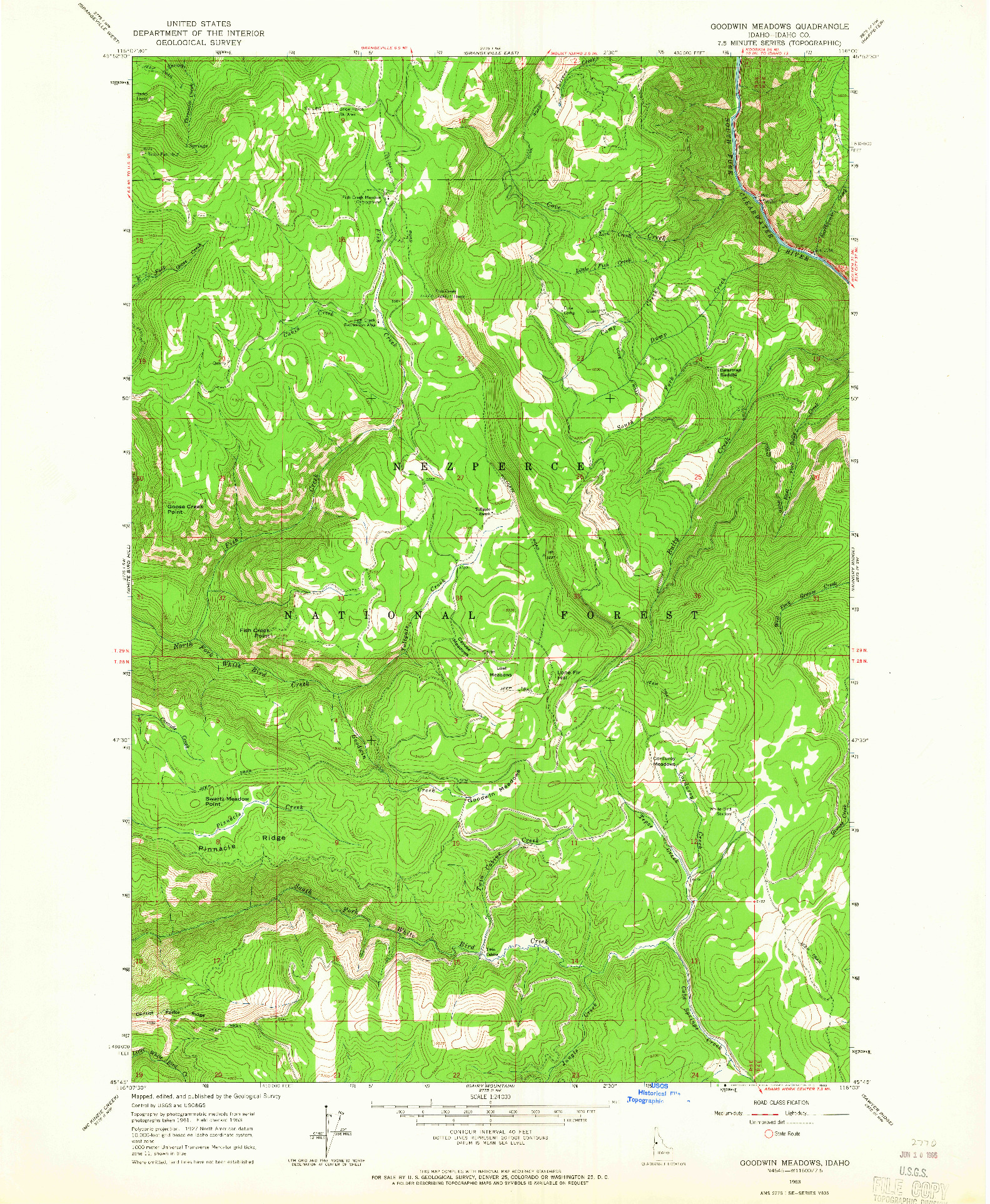 USGS 1:24000-SCALE QUADRANGLE FOR GOODWIN MEADOWS, ID 1963