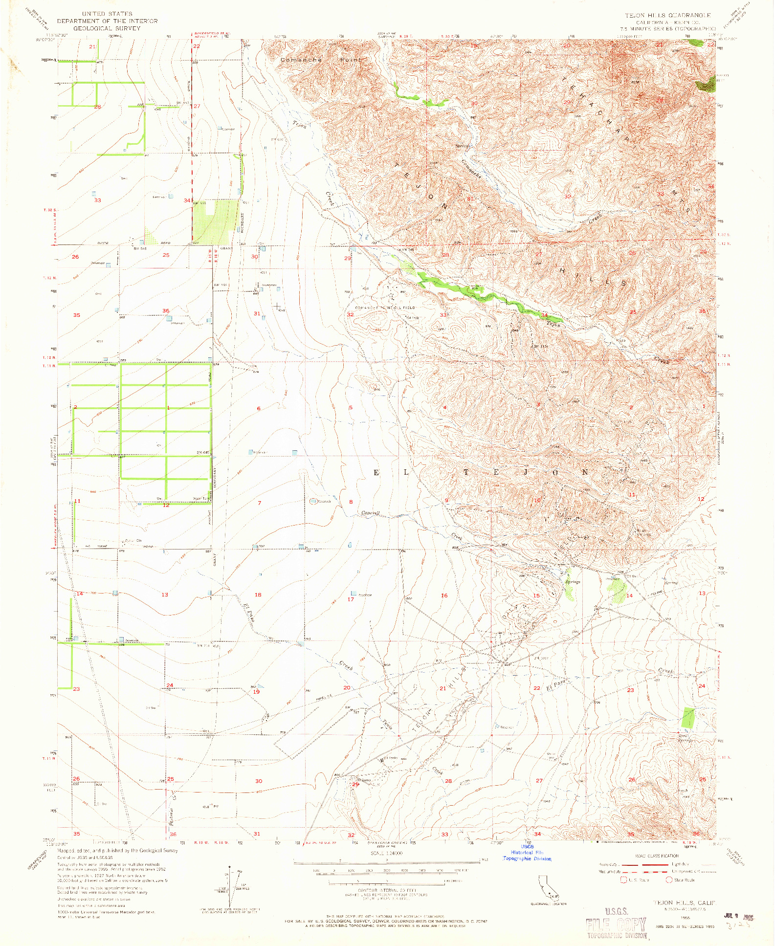 USGS 1:24000-SCALE QUADRANGLE FOR TEJON HILLS, CA 1955