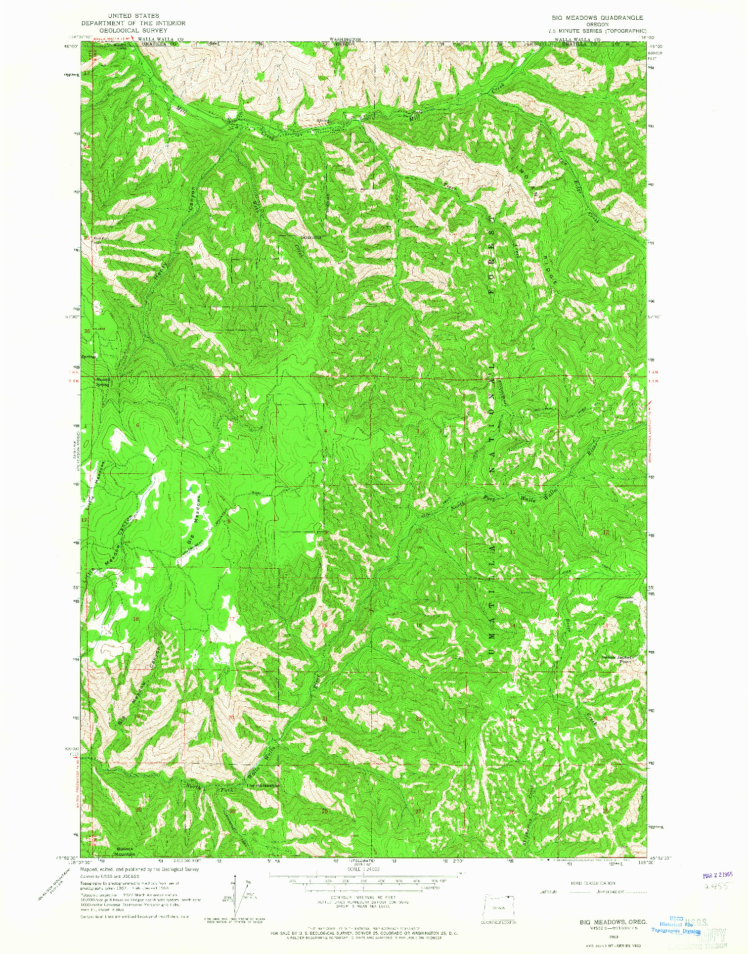 USGS 1:24000-SCALE QUADRANGLE FOR BIG MEADOWS, OR 1963