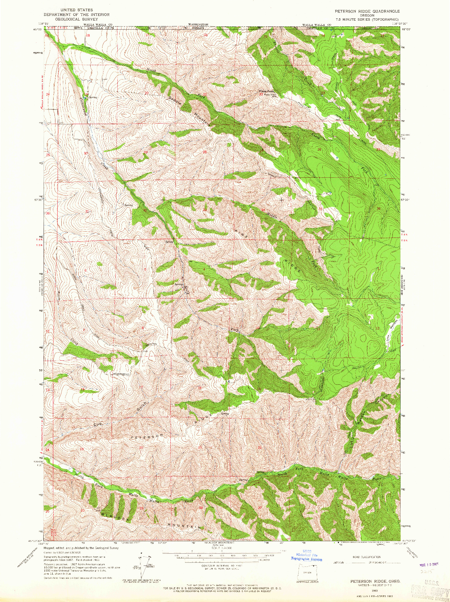 USGS 1:24000-SCALE QUADRANGLE FOR PETERSON RIDGE, OR 1963