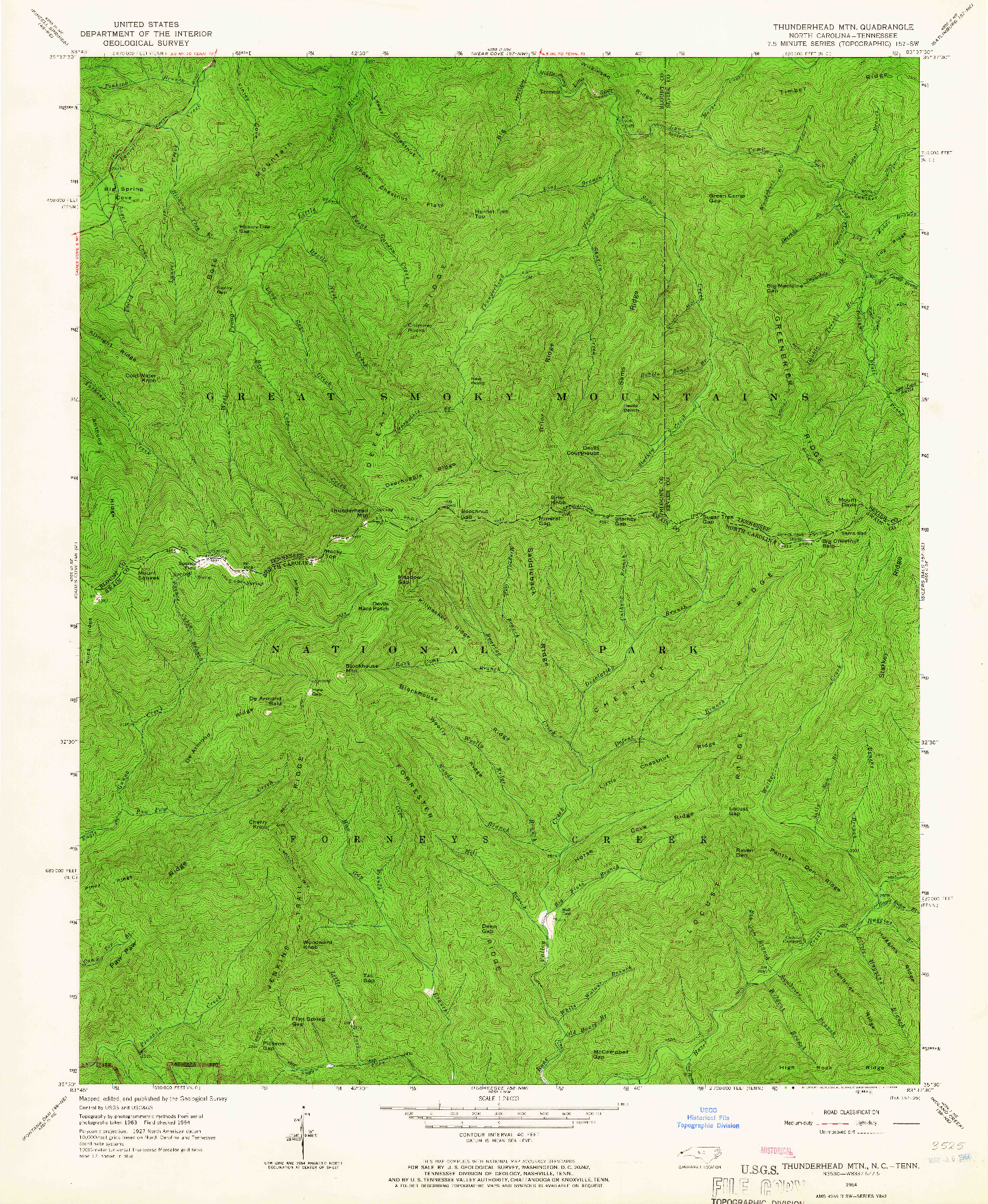 USGS 1:24000-SCALE QUADRANGLE FOR THUNDERHEAD MTN, NC 1964