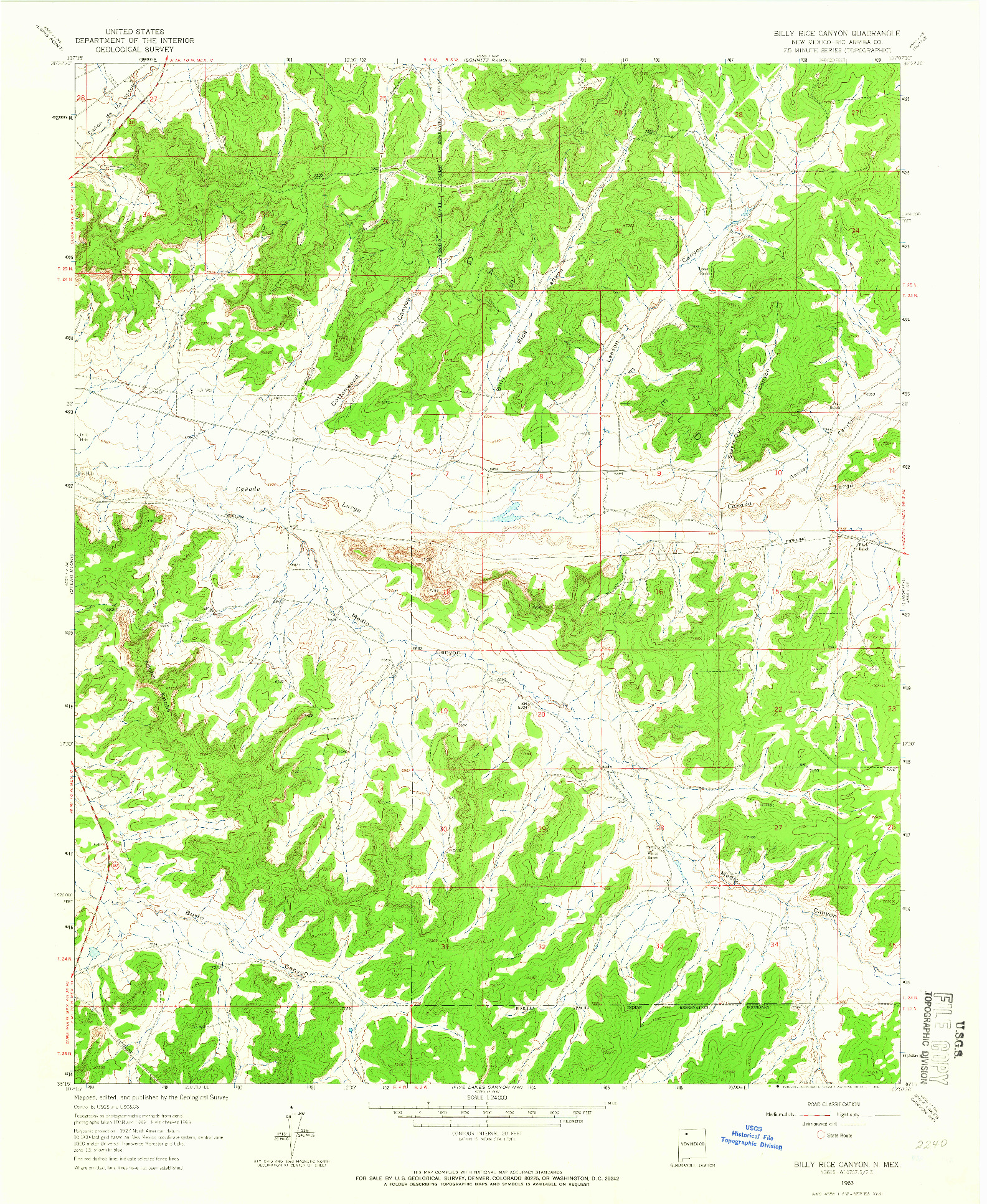 USGS 1:24000-SCALE QUADRANGLE FOR BILLY RICE CANYON, NM 1963