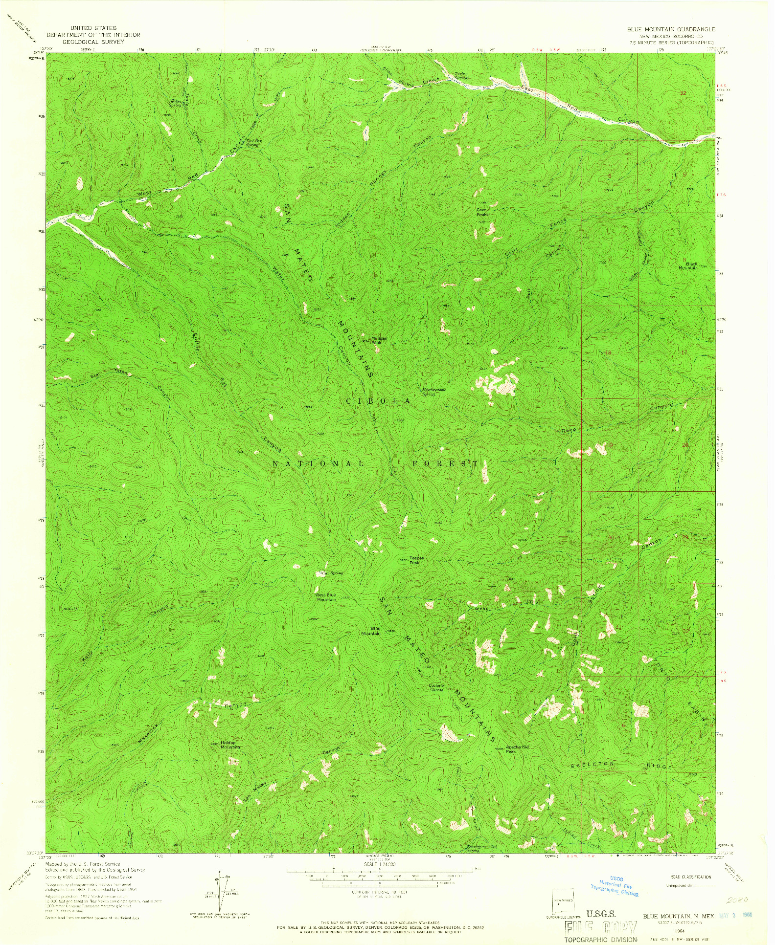 USGS 1:24000-SCALE QUADRANGLE FOR BLUE MOUNTAIN, NM 1964