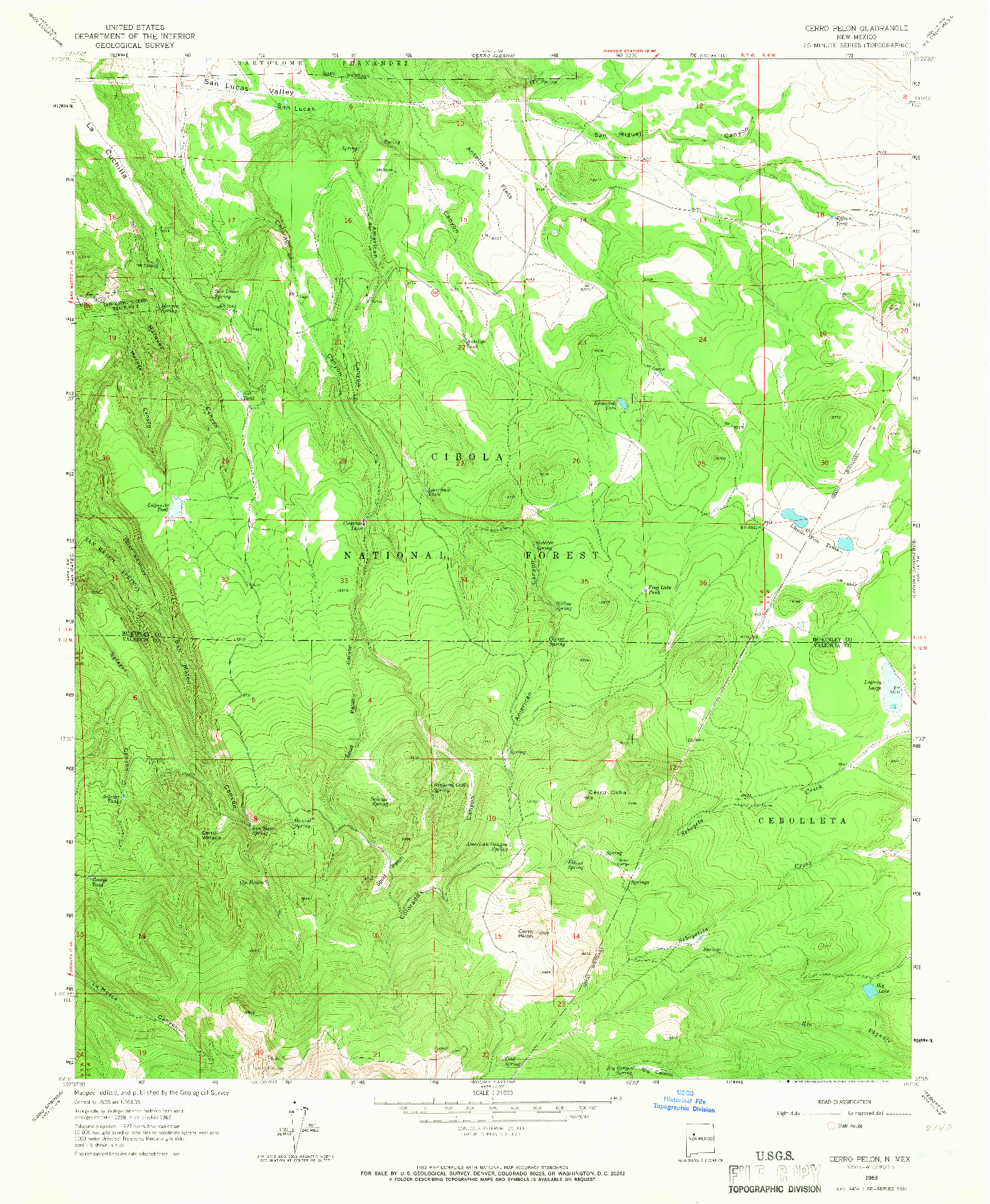 USGS 1:24000-SCALE QUADRANGLE FOR CERRO PELON, NM 1963