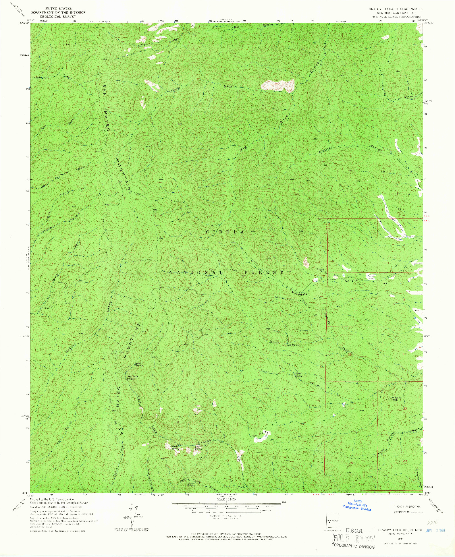 USGS 1:24000-SCALE QUADRANGLE FOR GRASSY LOOKOUT, NM 1964