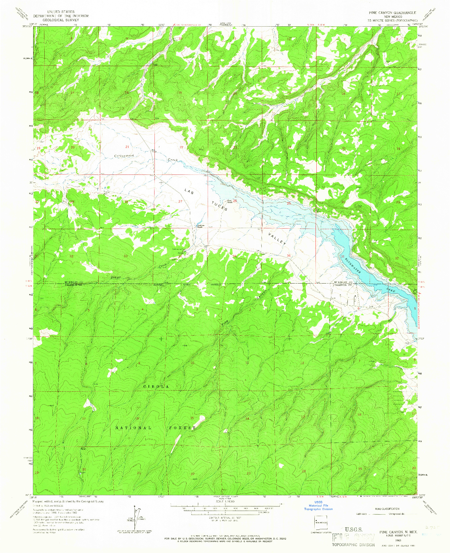 USGS 1:24000-SCALE QUADRANGLE FOR PINE CANYON, NM 1963