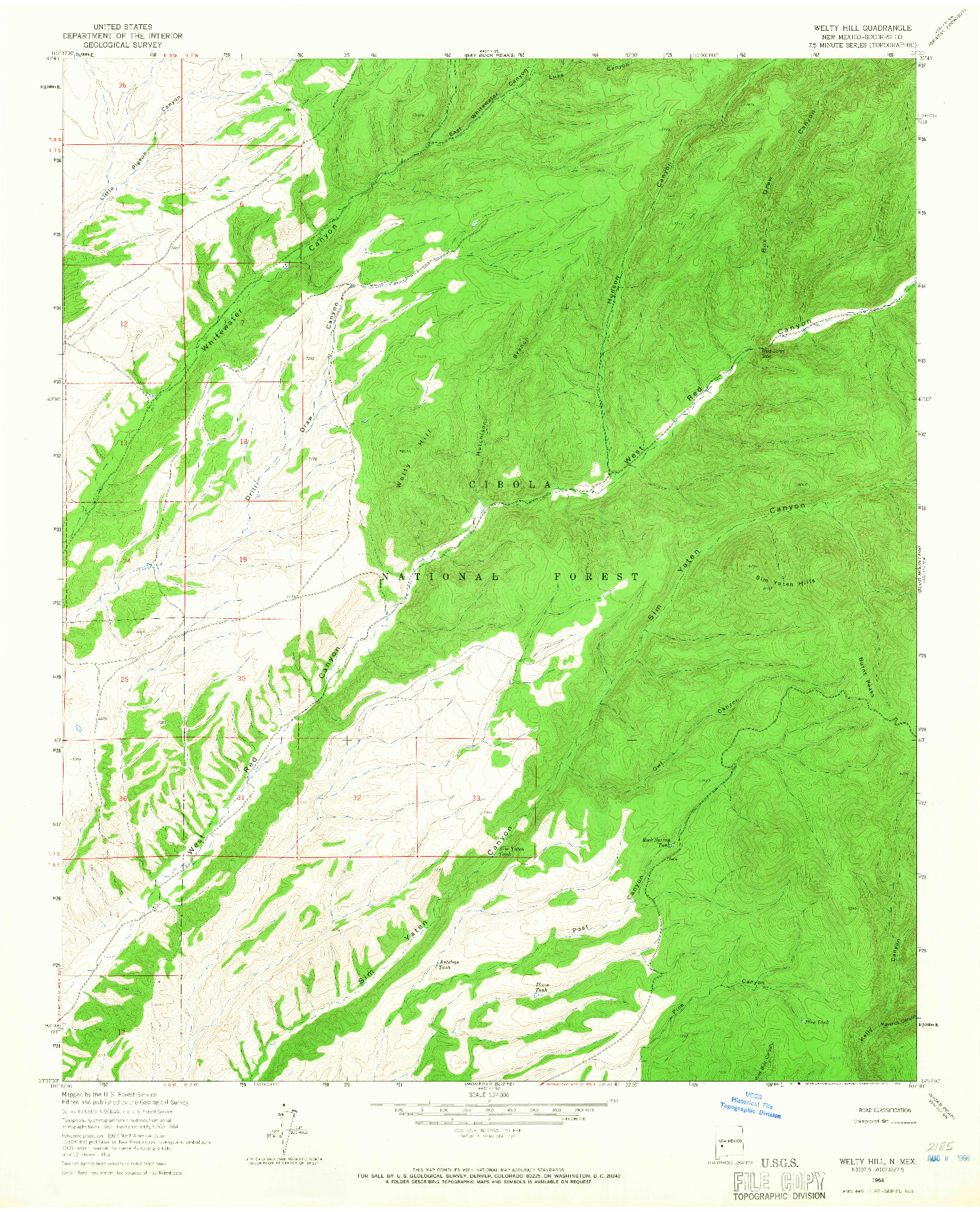 USGS 1:24000-SCALE QUADRANGLE FOR WELTY HILL, NM 1964