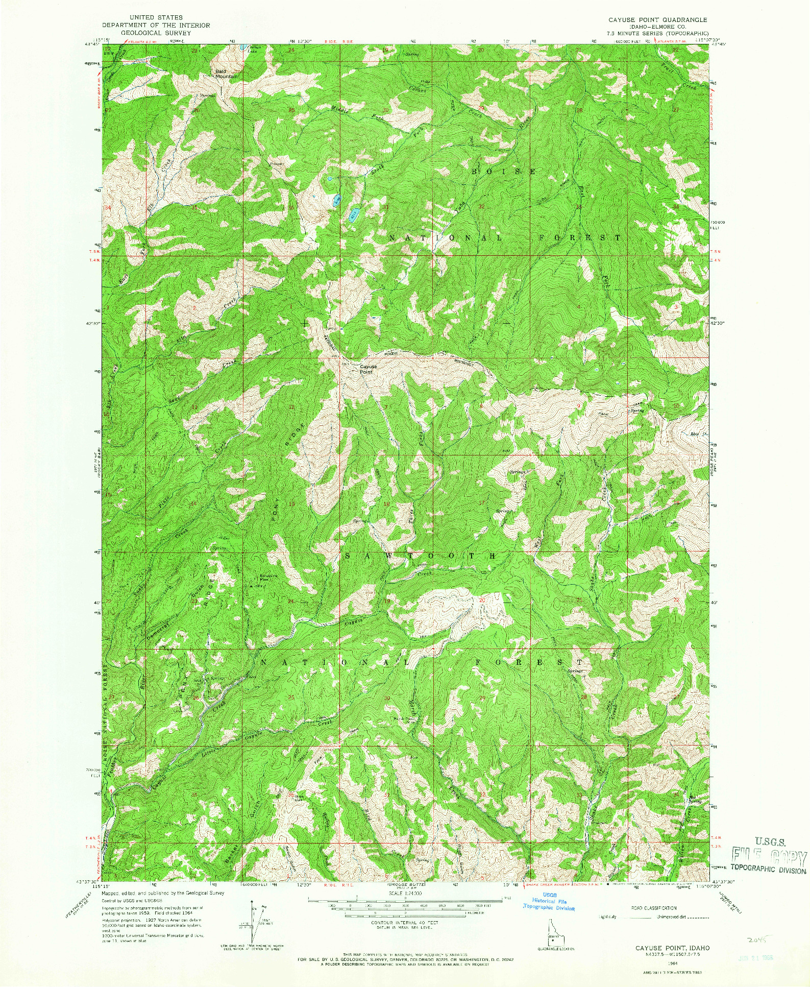 USGS 1:24000-SCALE QUADRANGLE FOR CAYUSE POINT, ID 1964