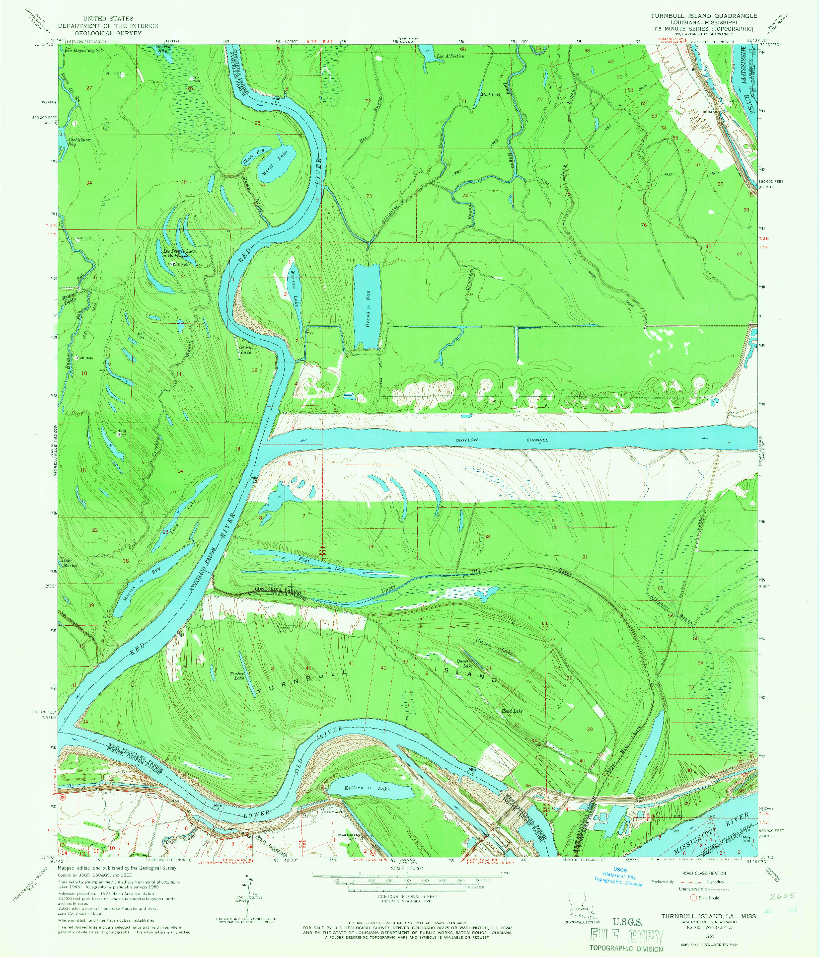 USGS 1:24000-SCALE QUADRANGLE FOR TURNBULL ISLAND, LA 1965