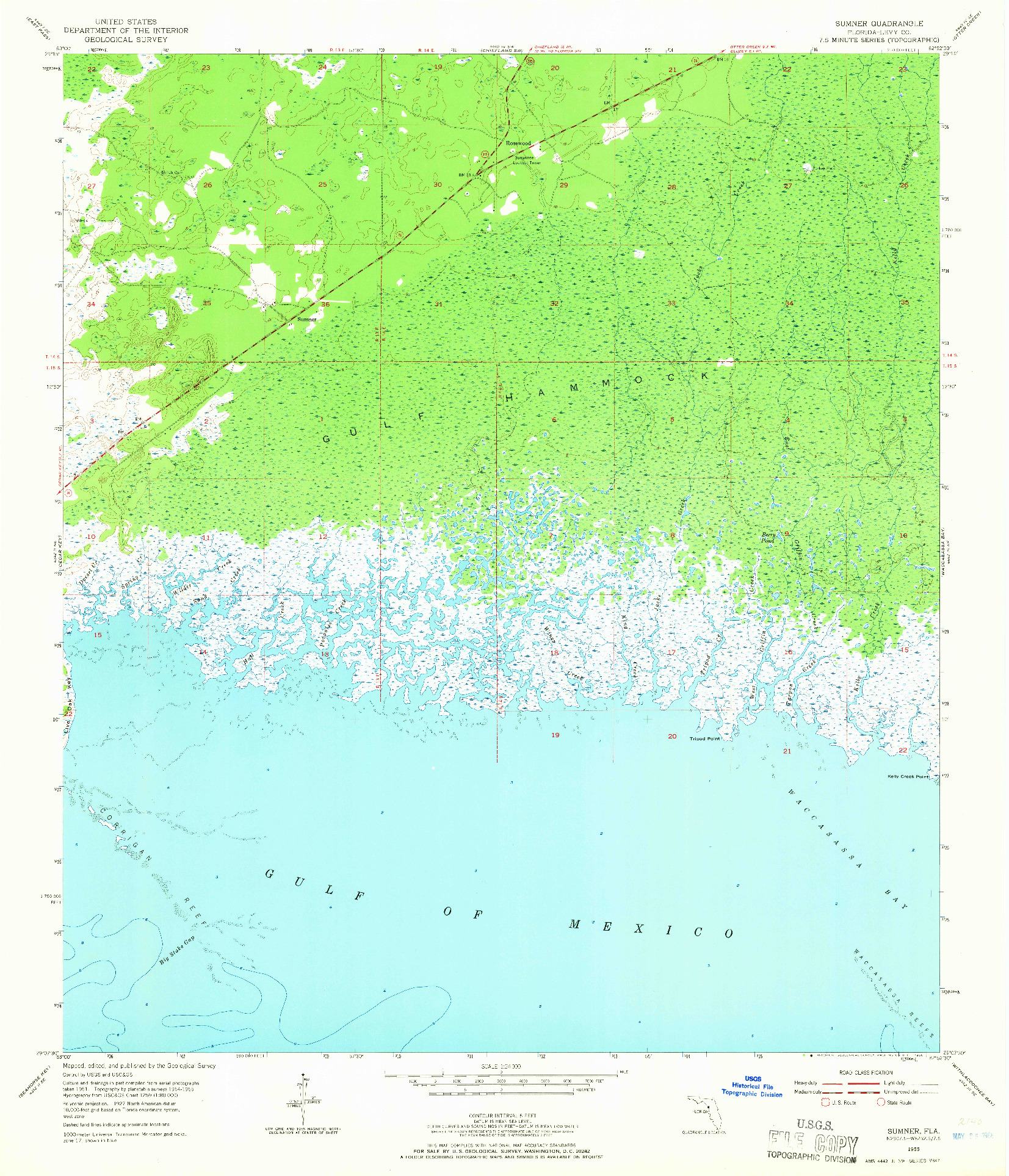 USGS 1:24000-SCALE QUADRANGLE FOR SUMNER, FL 1955