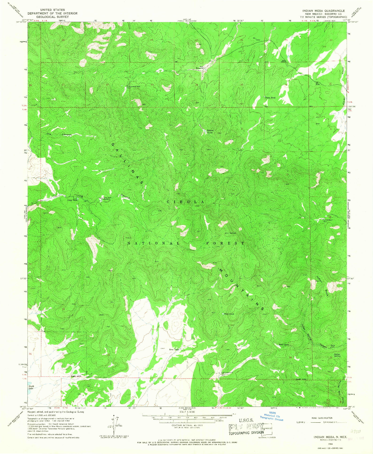 USGS 1:24000-SCALE QUADRANGLE FOR INDIAN MESA, NM 1964