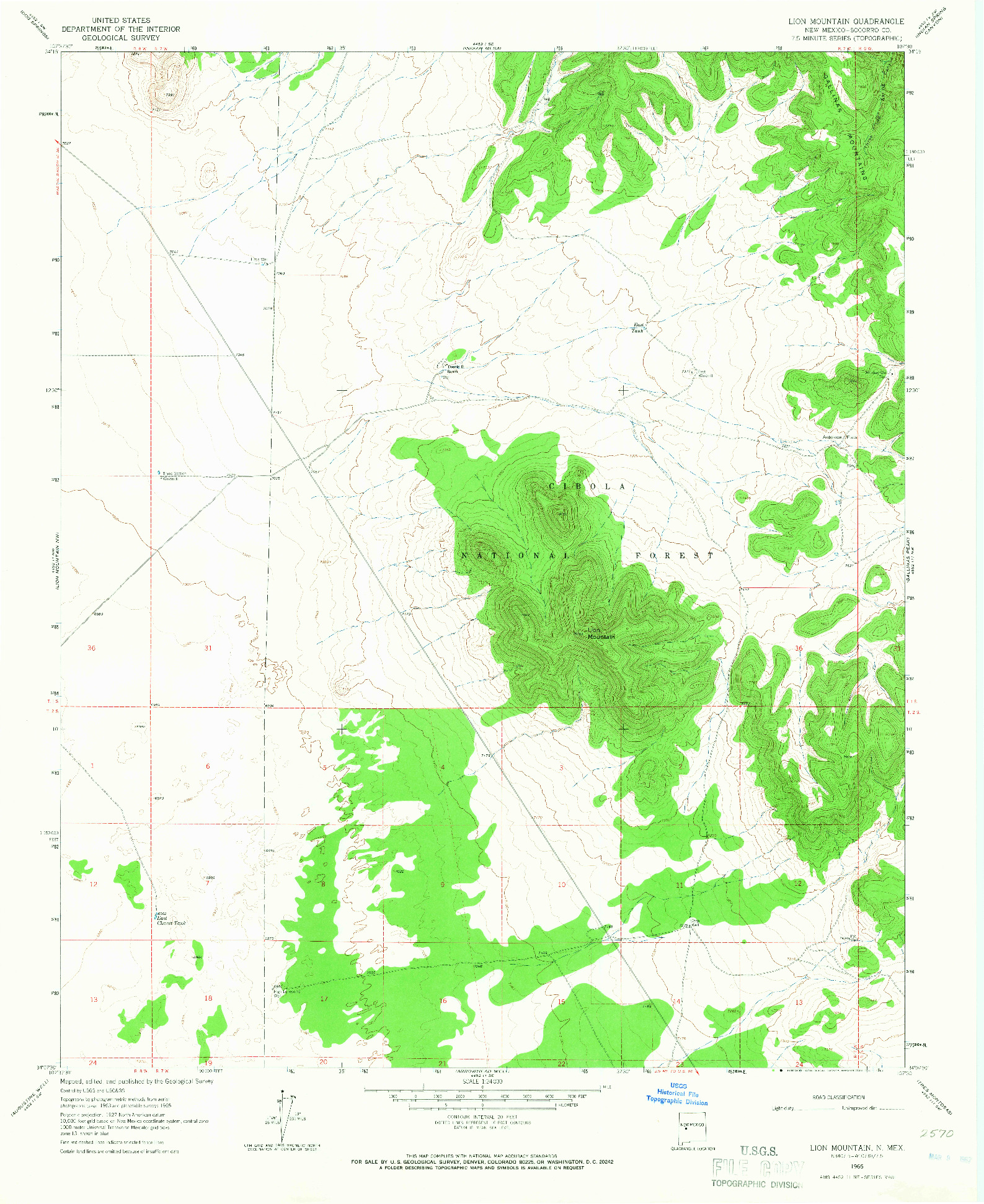 USGS 1:24000-SCALE QUADRANGLE FOR LION MOUNTAIN, NM 1965