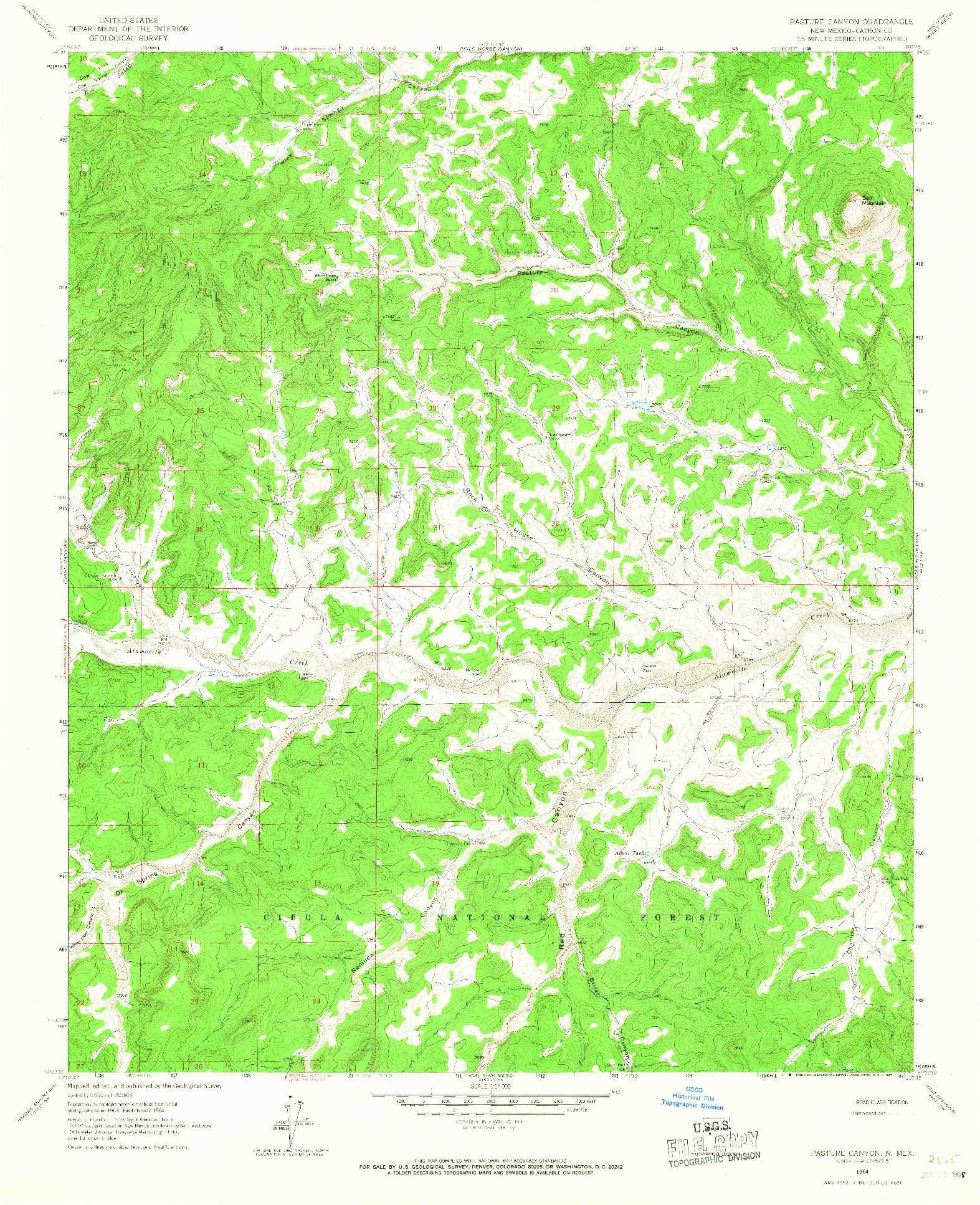 USGS 1:24000-SCALE QUADRANGLE FOR PASTURE CANYON, NM 1964