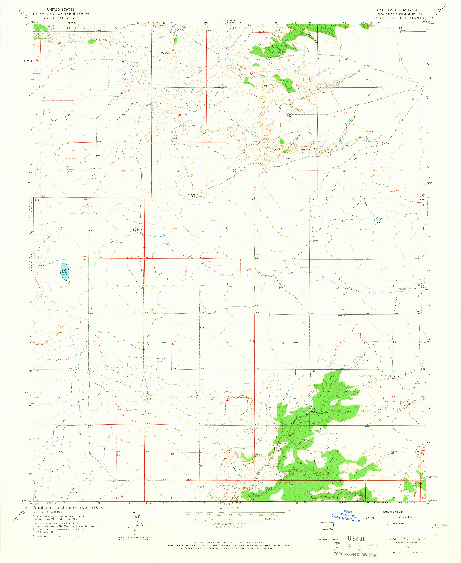 USGS 1:24000-SCALE QUADRANGLE FOR SALT LAKE, NM 1964