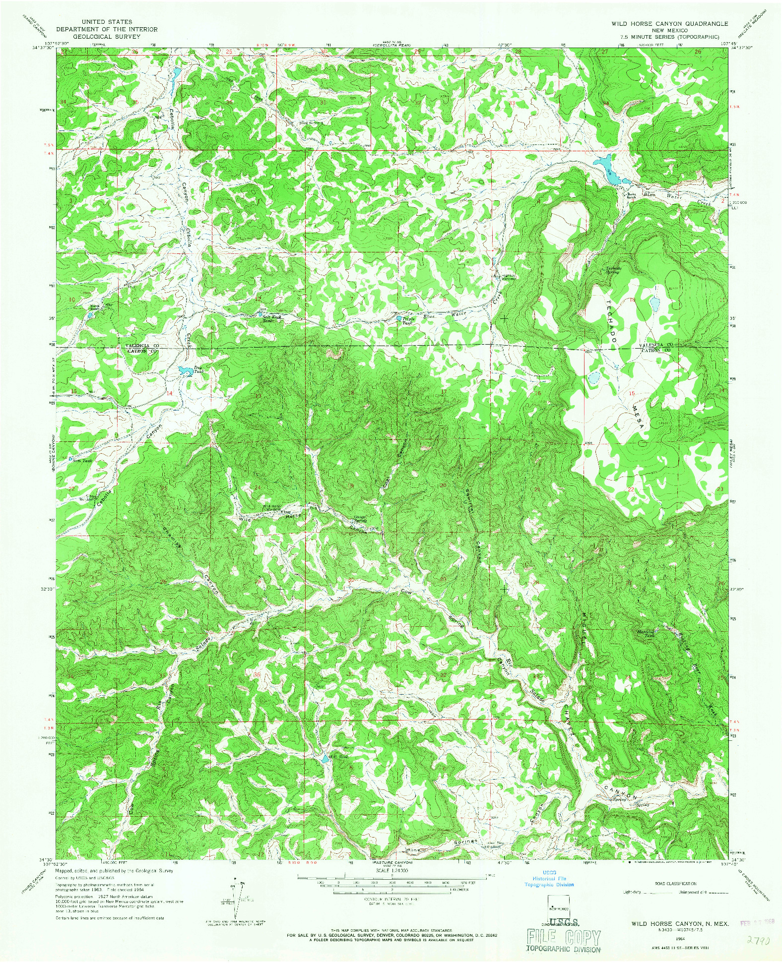 USGS 1:24000-SCALE QUADRANGLE FOR WILD HORSE CANYON, NM 1964