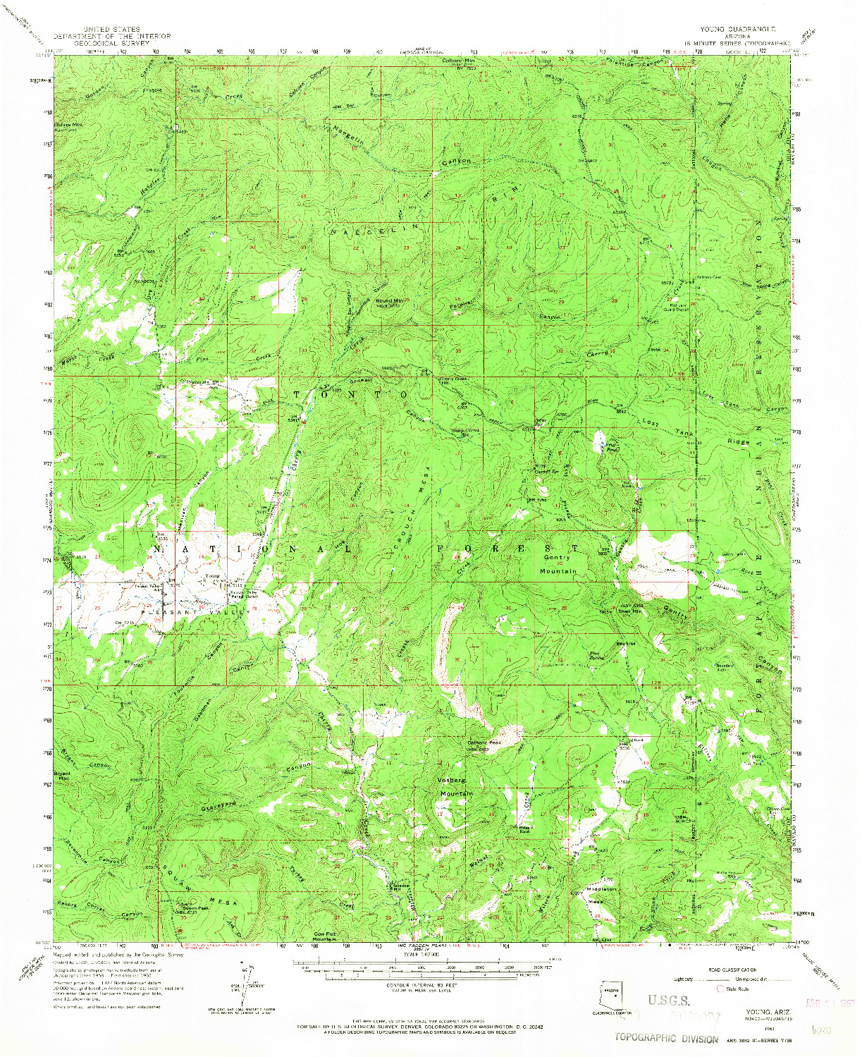 USGS 1:62500-SCALE QUADRANGLE FOR YOUNG, AZ 1961