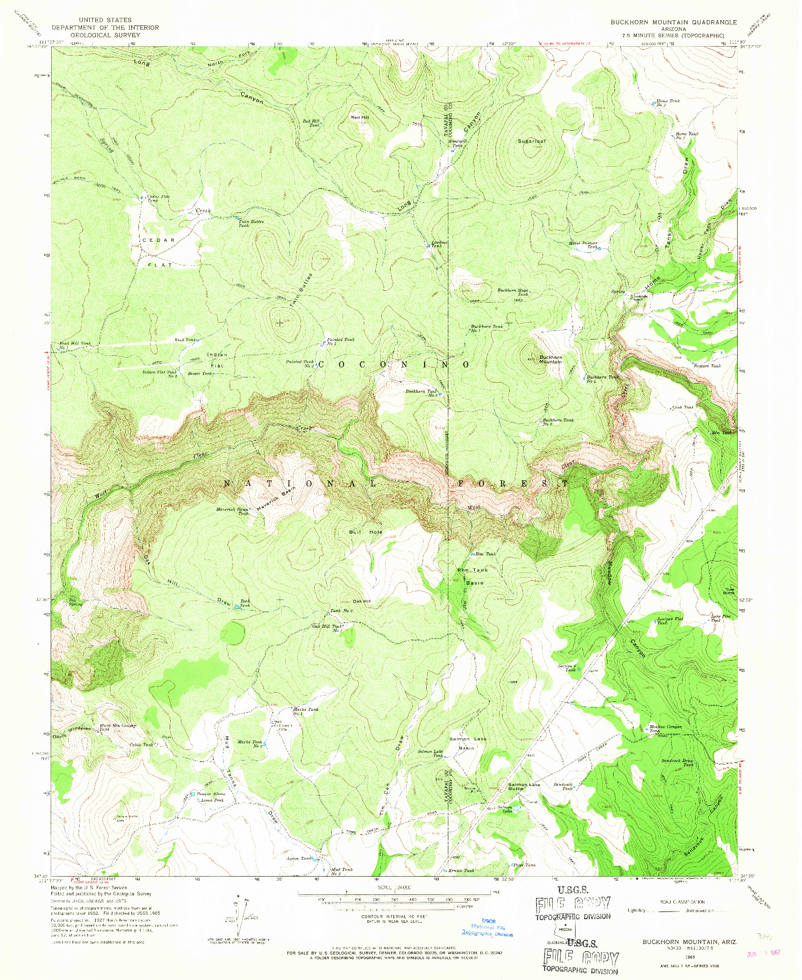 USGS 1:24000-SCALE QUADRANGLE FOR BUCKHORN MOUNTAIN, AZ 1965