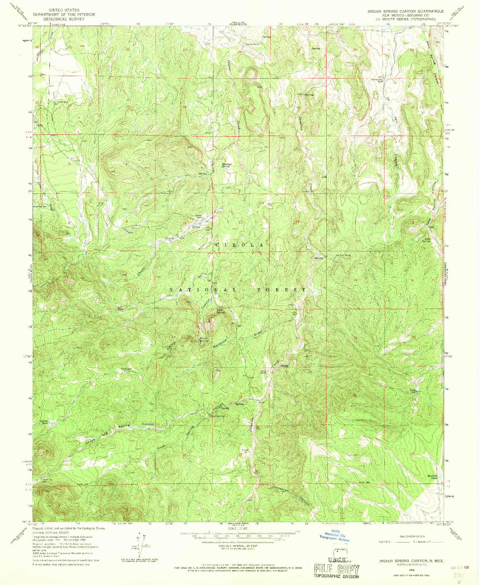 USGS 1:24000-SCALE QUADRANGLE FOR INDIAN SPRING CANYON, NM 1964