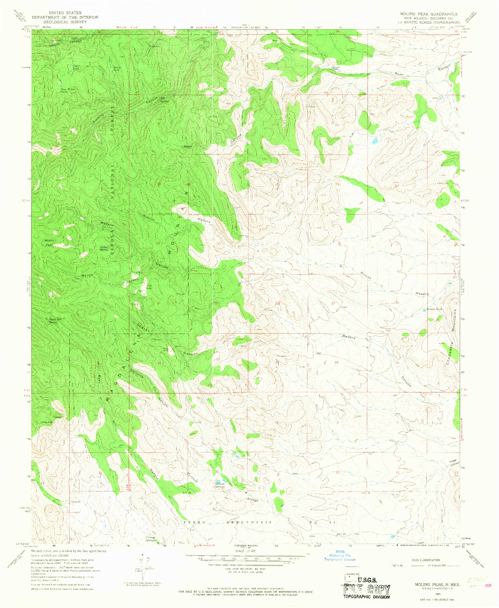 USGS 1:24000-SCALE QUADRANGLE FOR MOLINO PEAK, NM 1965