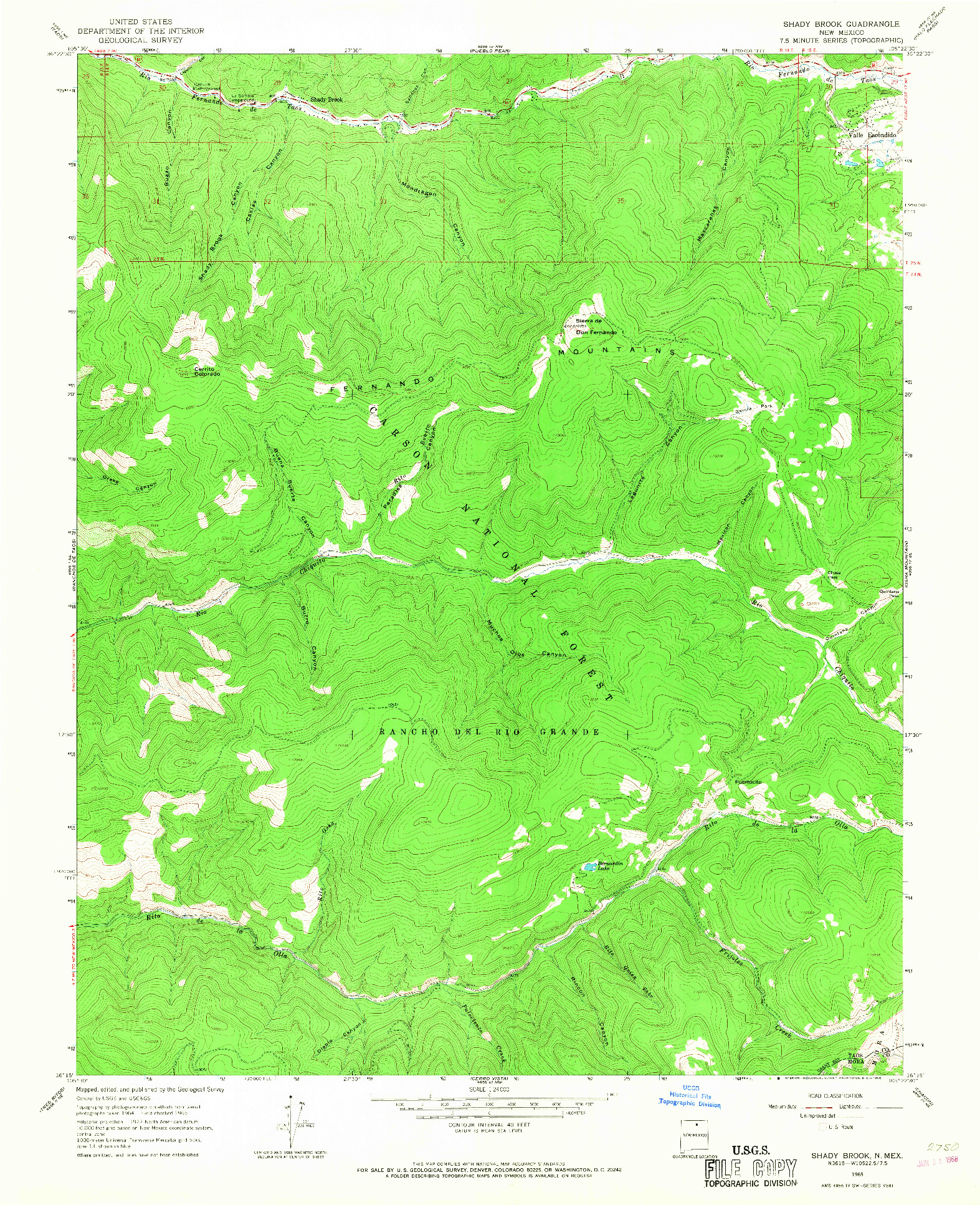 USGS 1:24000-SCALE QUADRANGLE FOR SHADY BROOK, NM 1965