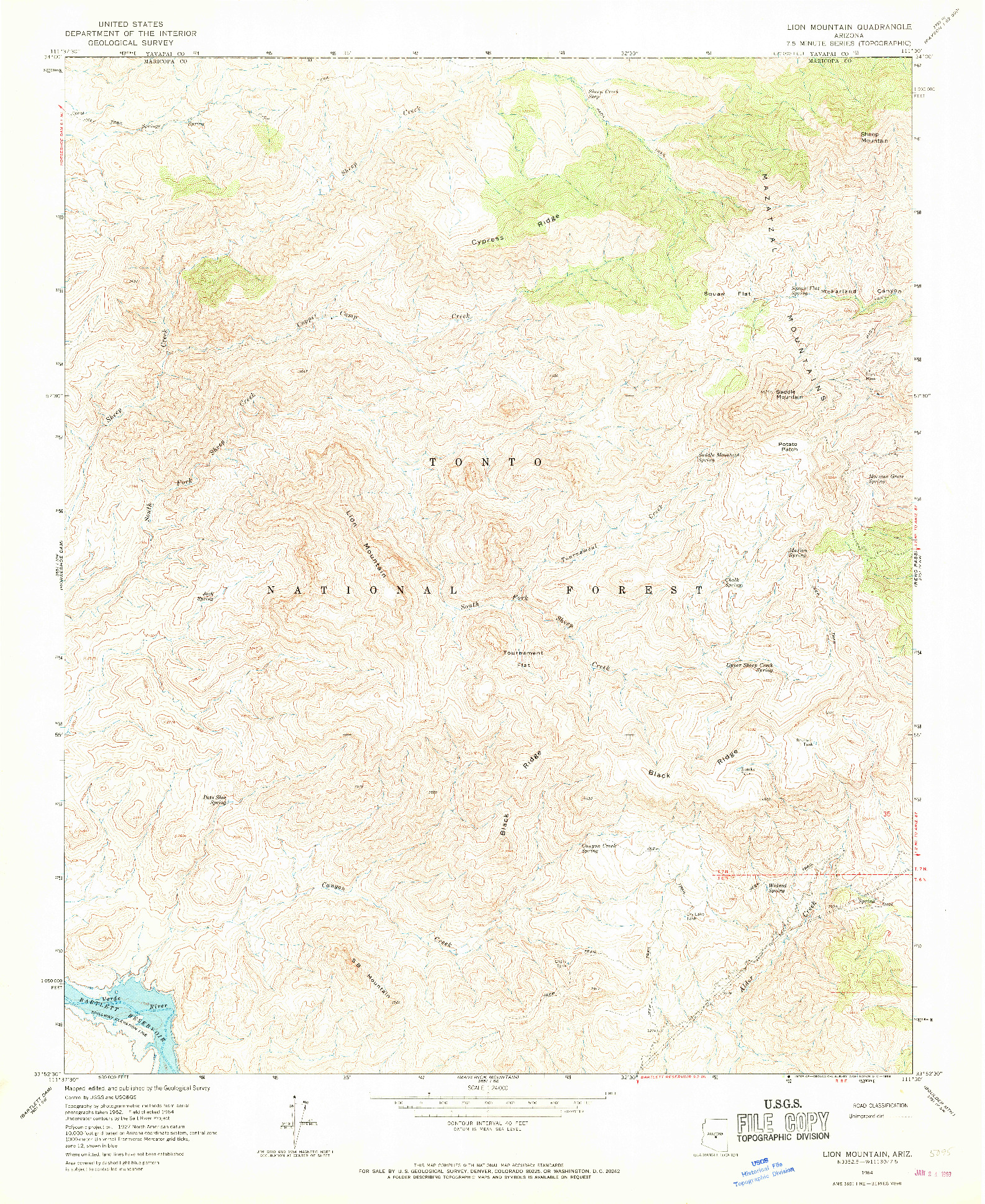 USGS 1:24000-SCALE QUADRANGLE FOR LION MOUNTAIN, AZ 1964