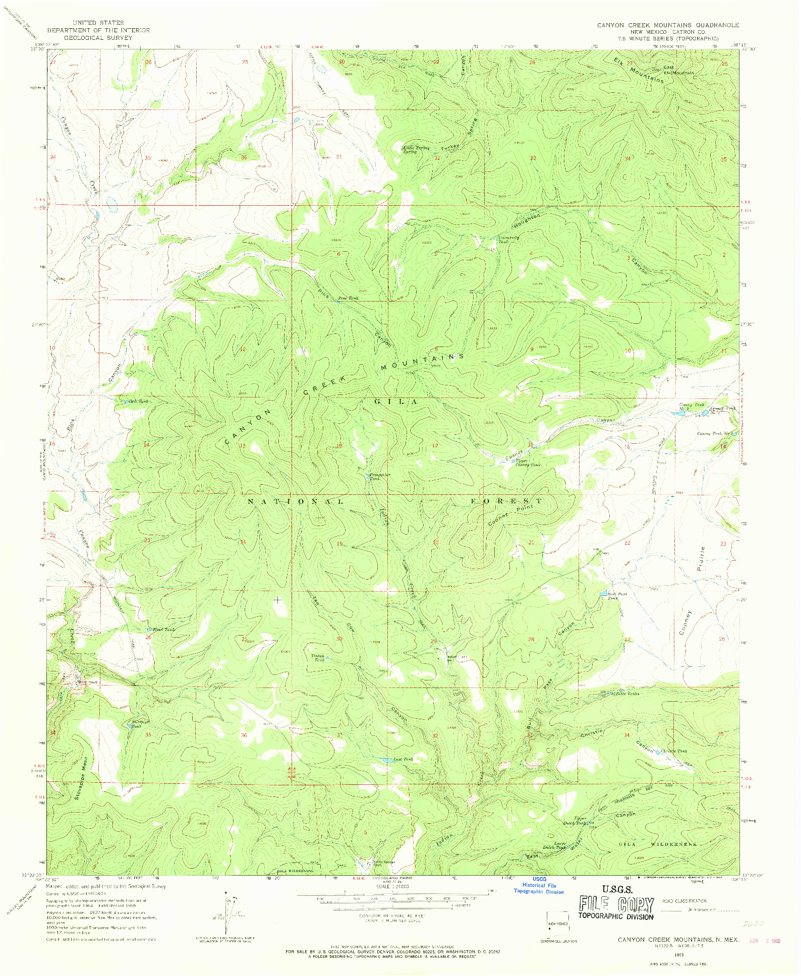 USGS 1:24000-SCALE QUADRANGLE FOR CANYON CREEK MOUNTAINS, NM 1965